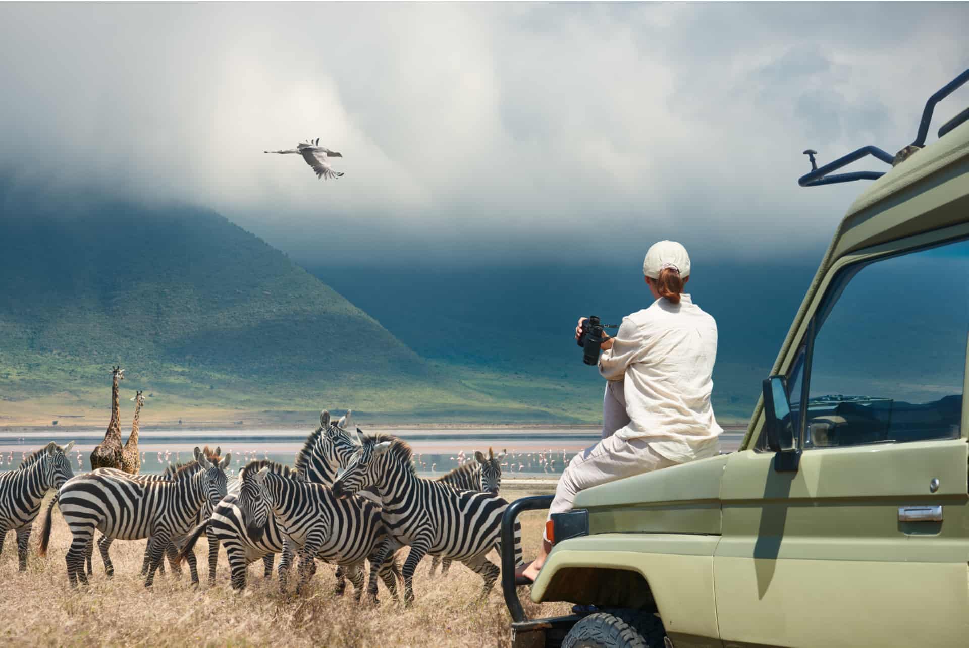 vetement pour safari tanzanie