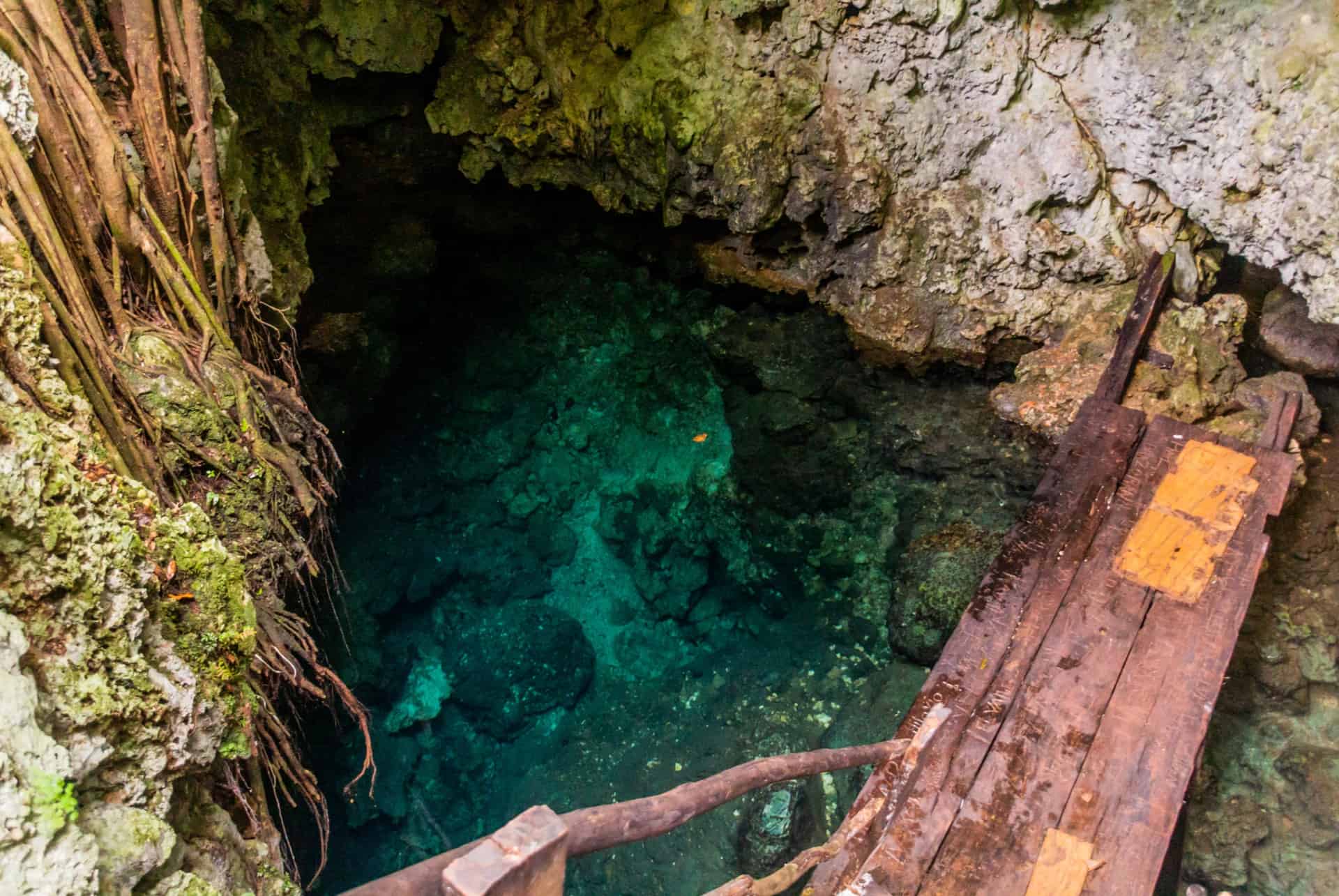 parc national el choco