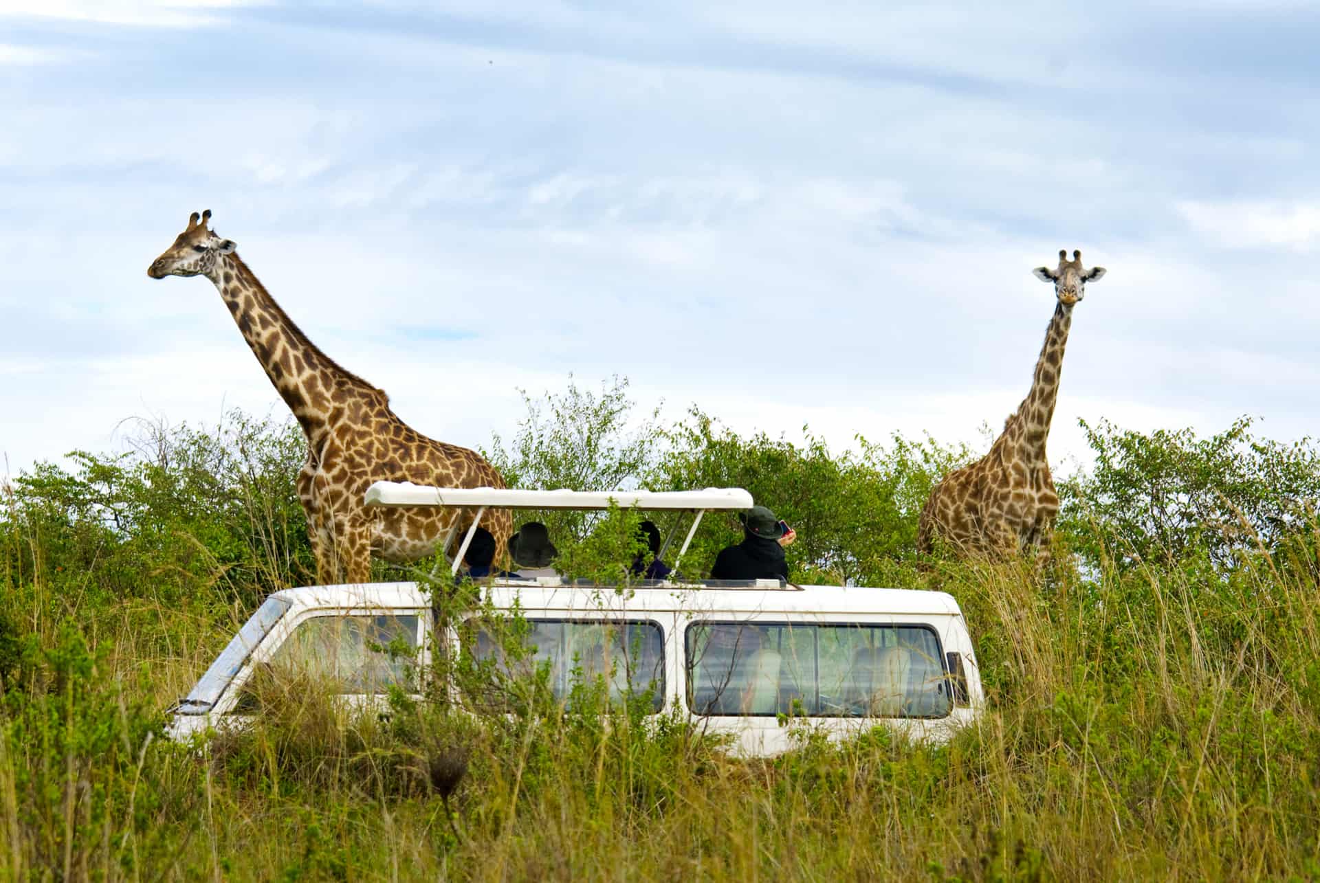safari kenya prix
