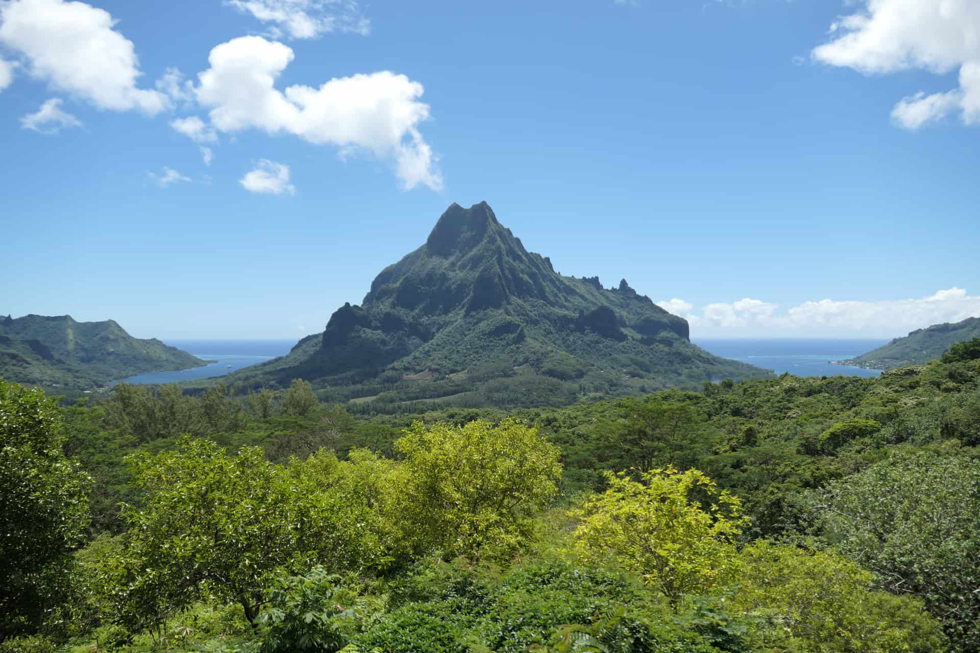 belvedere de opunohu