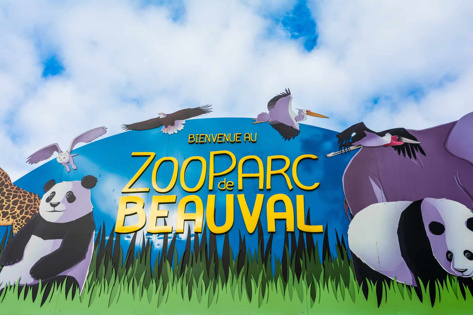 Zoo De Beauval Billets Tarifs Et Informations Pratiques