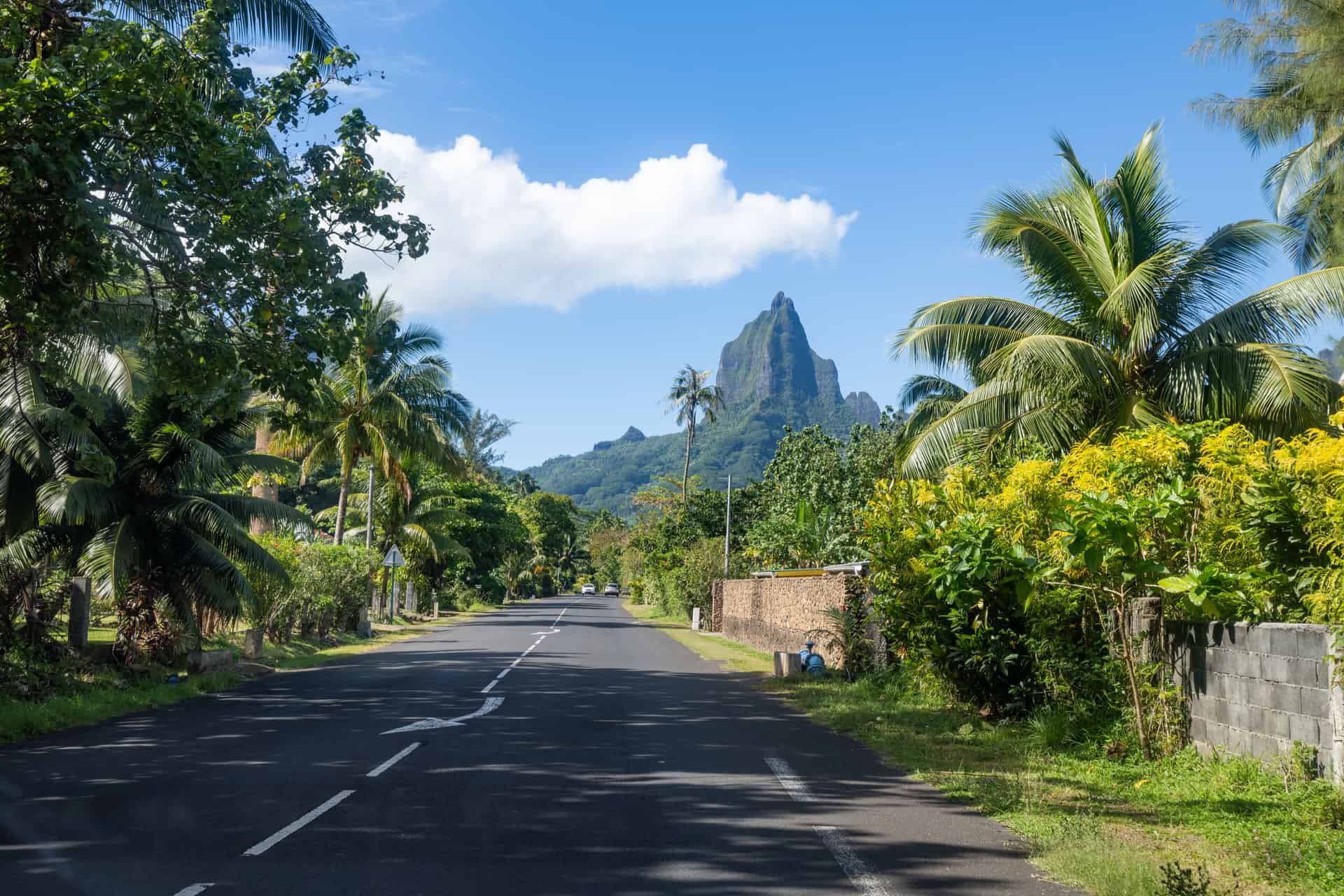 route sur l'ile moorea
