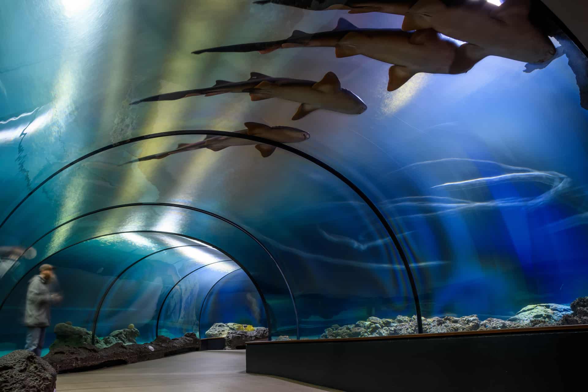 le zoo de rotterdam