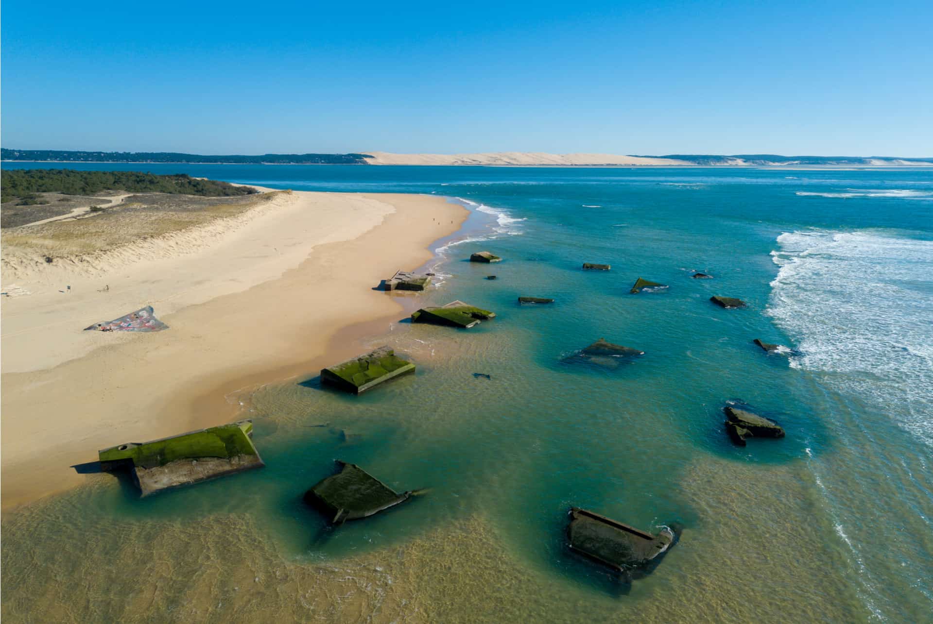 blockhaus lege cap ferret