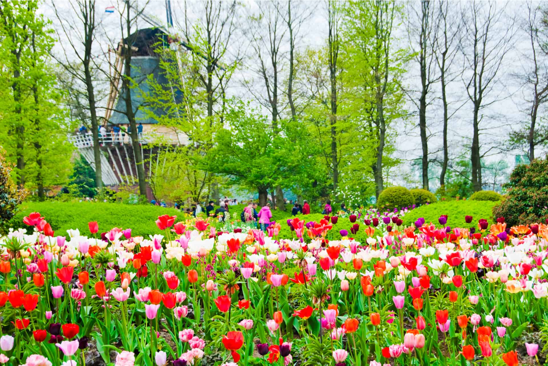 parc keukenhof parc keukenhof