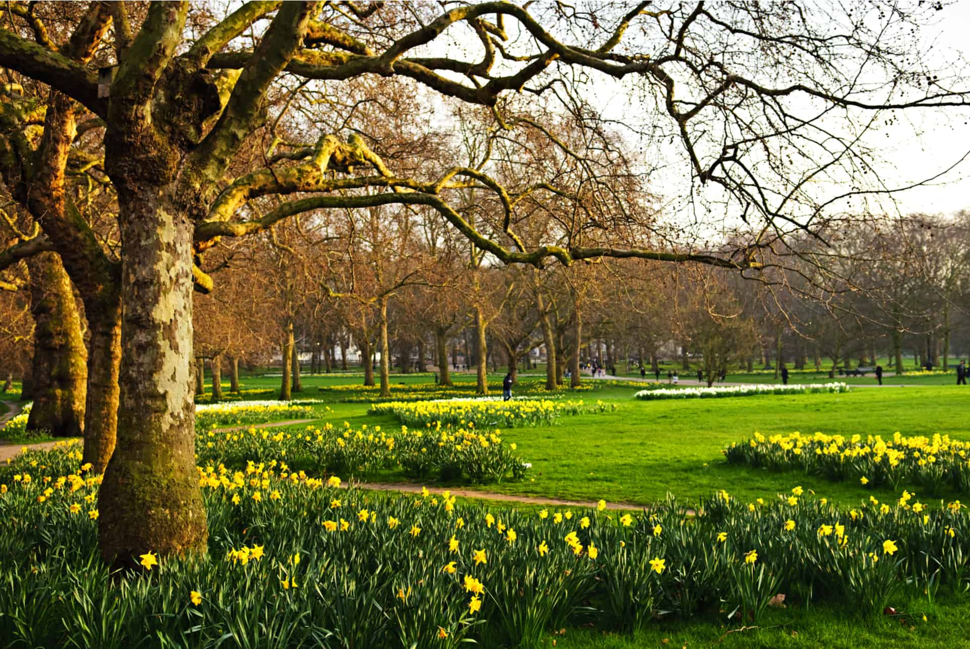 saint james park visiter londres 3 jours