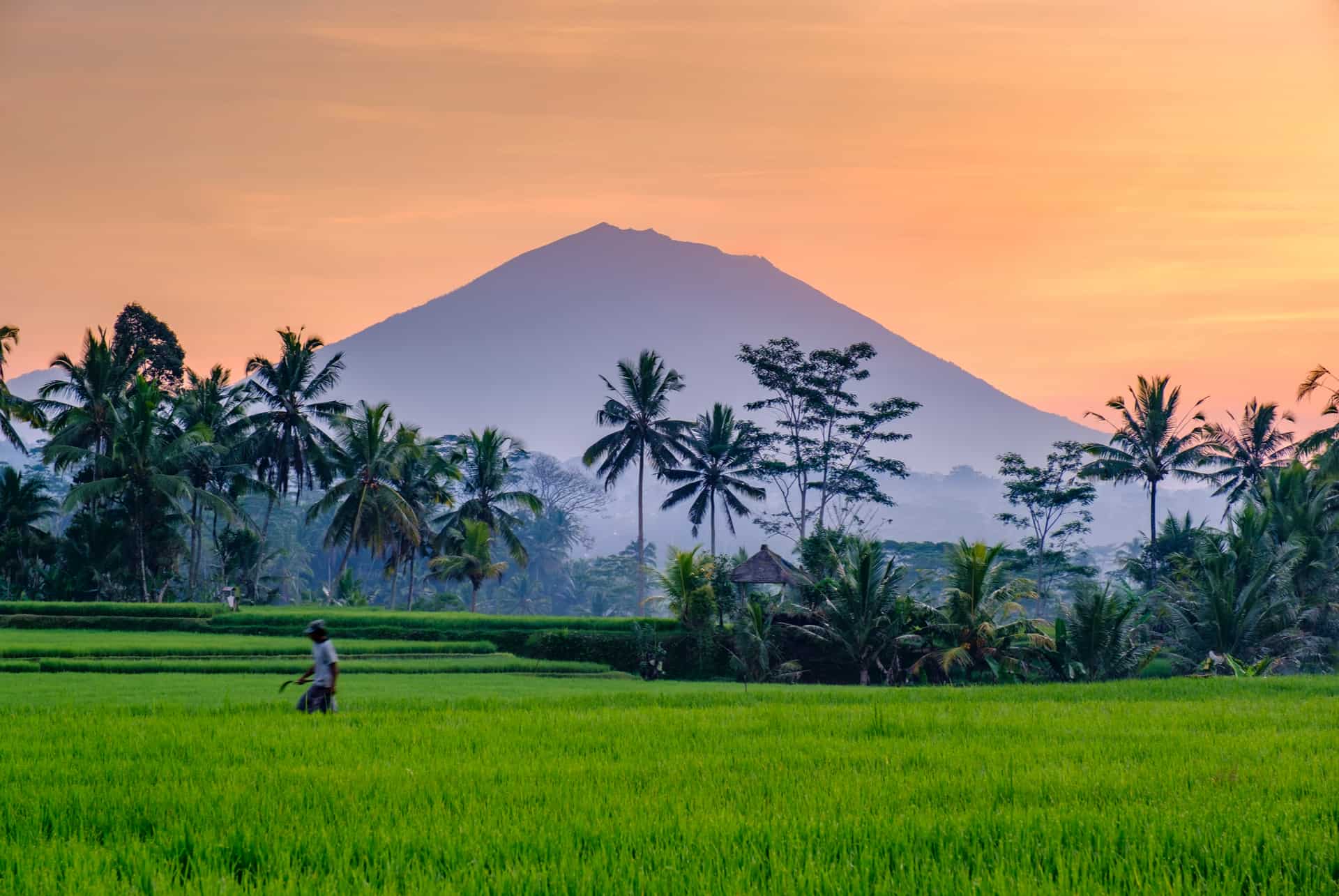dormir a ubud
