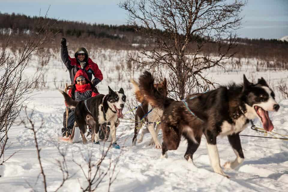 activite coup de coeur a tromso