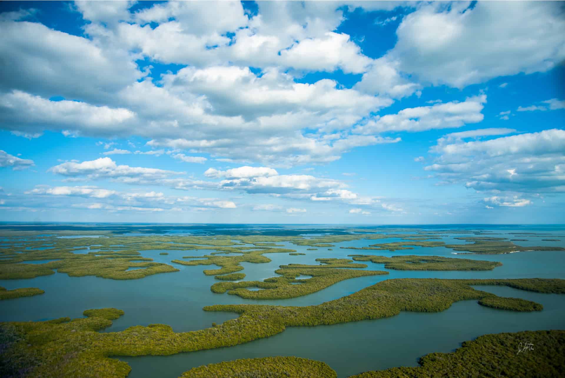 choisir son logement dans les everglades