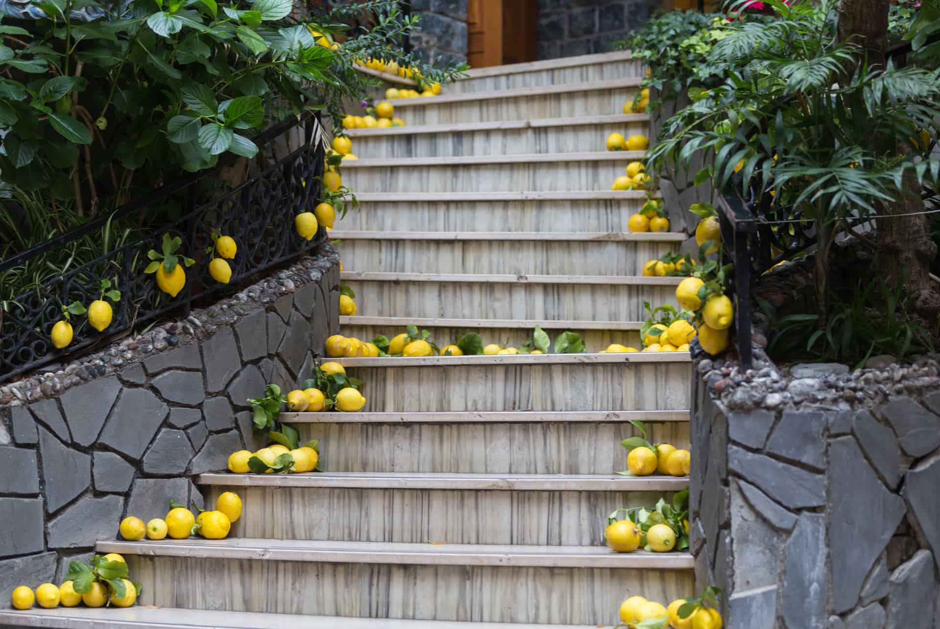 fete des citrons monterosso