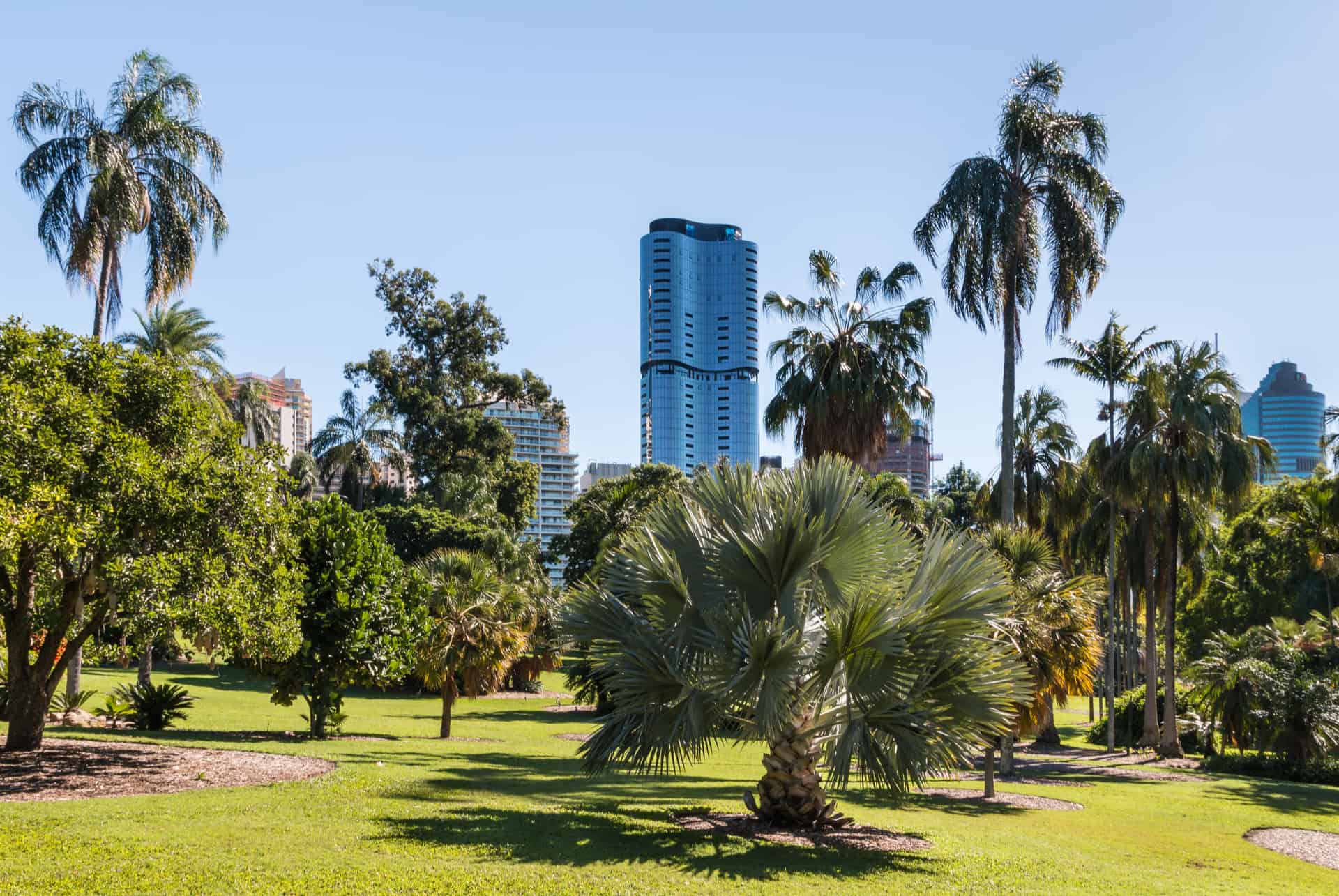 jardin botanique de brisbane