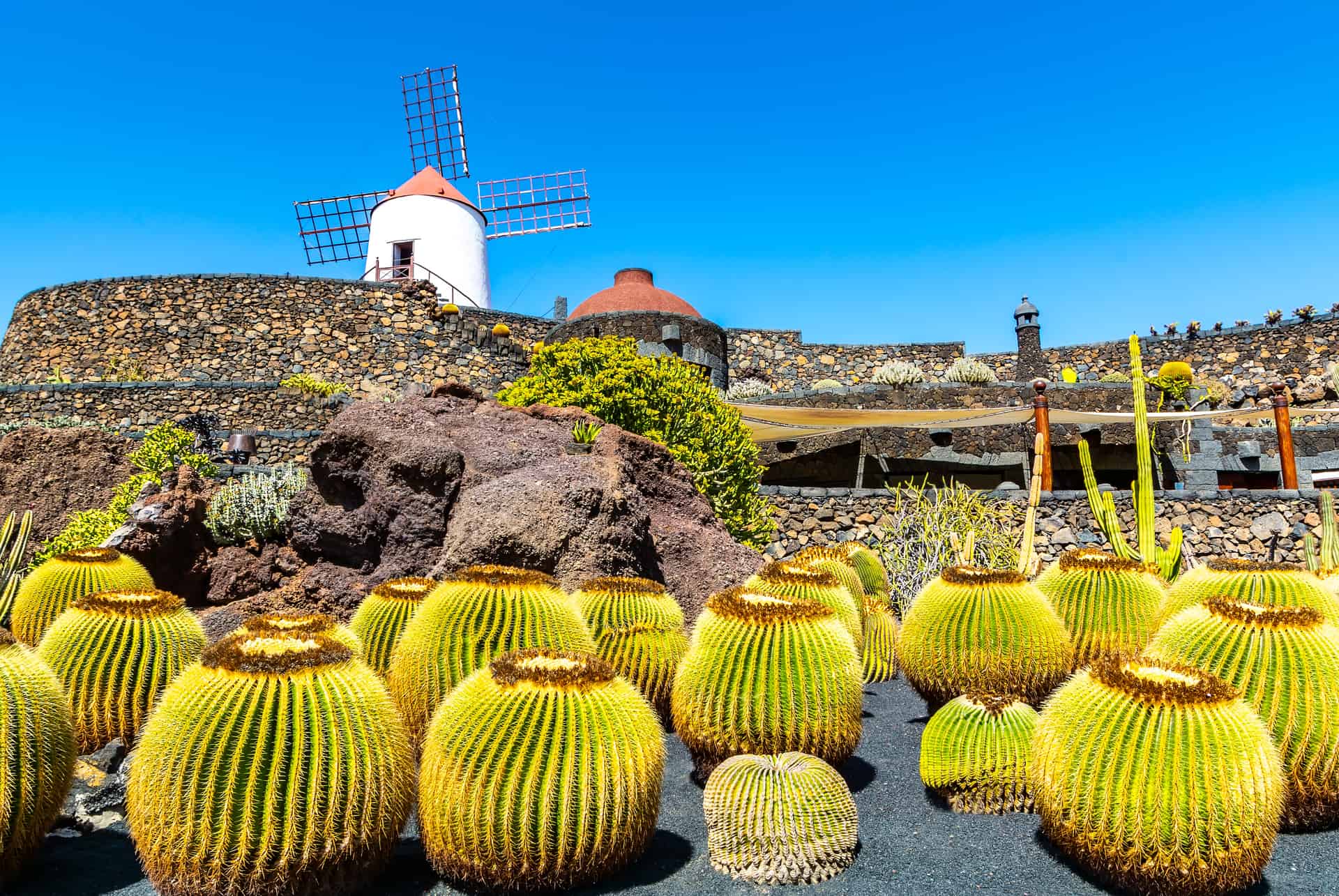 jardin des cactus lanzarote