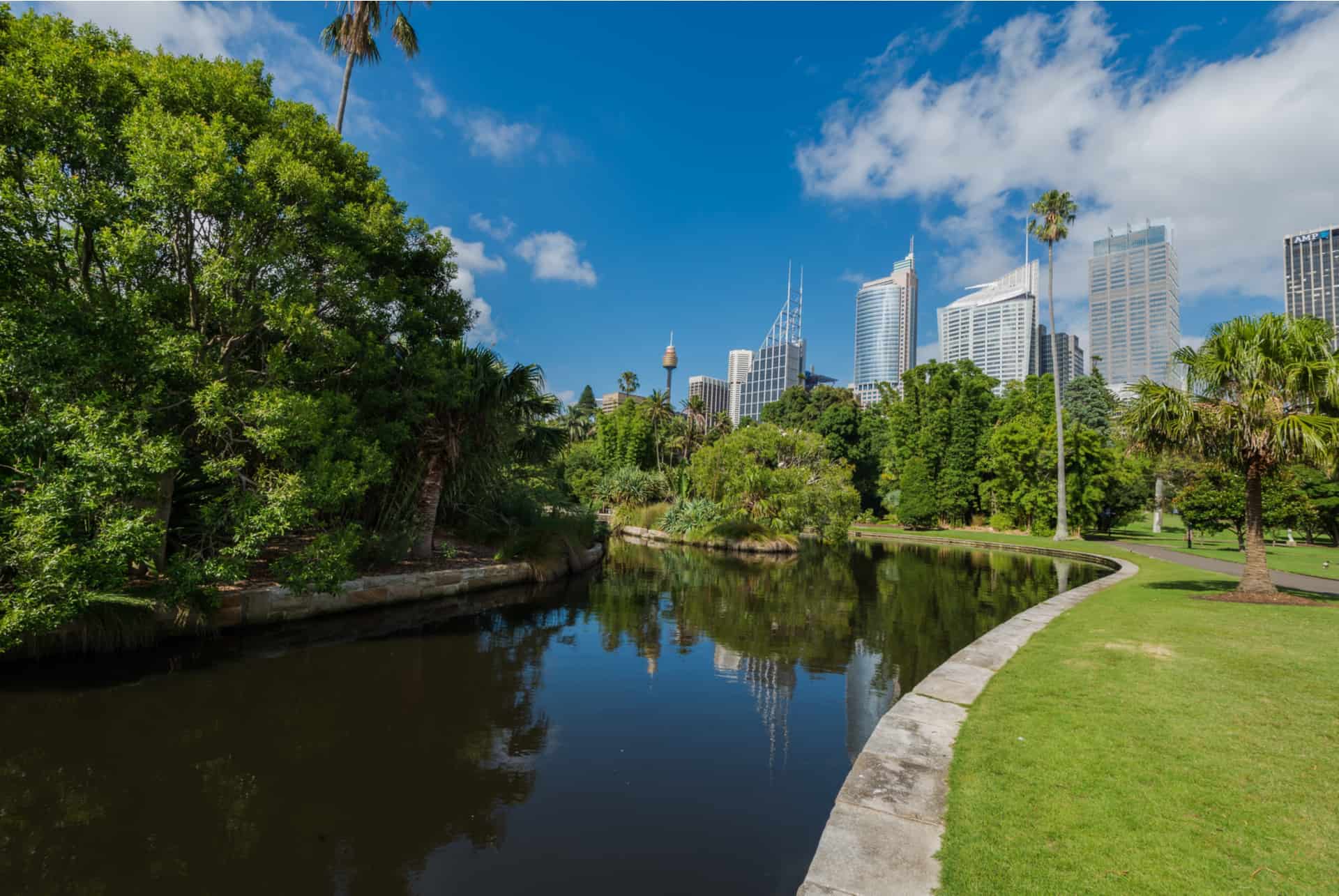 jardins botaniques de sydney