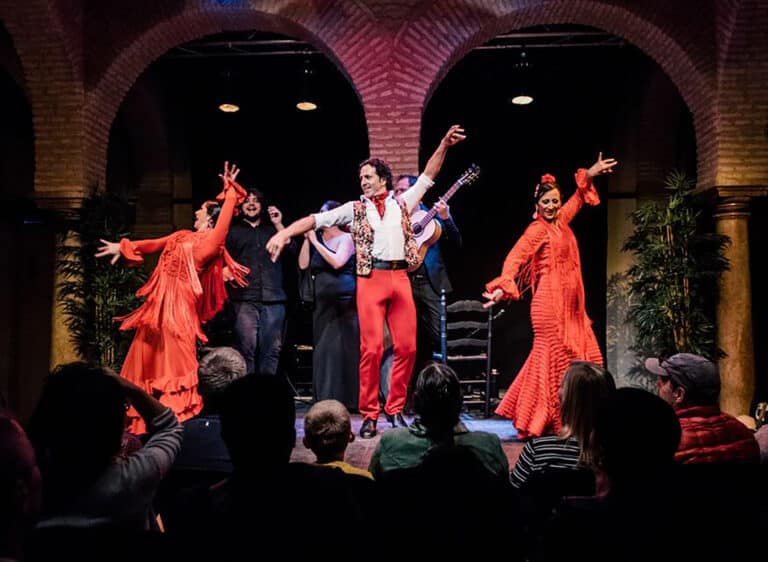 Spectacle et entrée au musée du flamenco