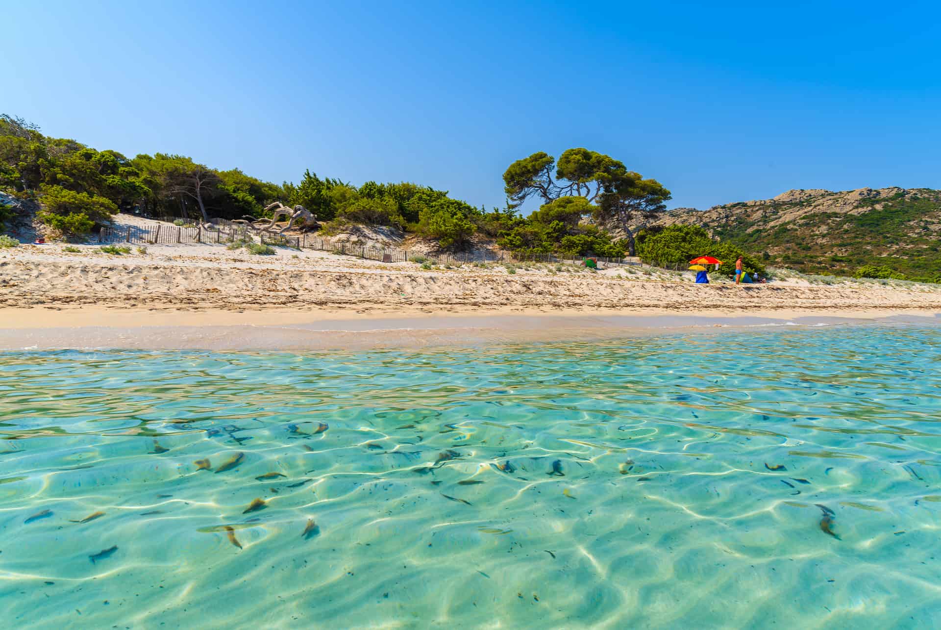 plage de saleccia corse