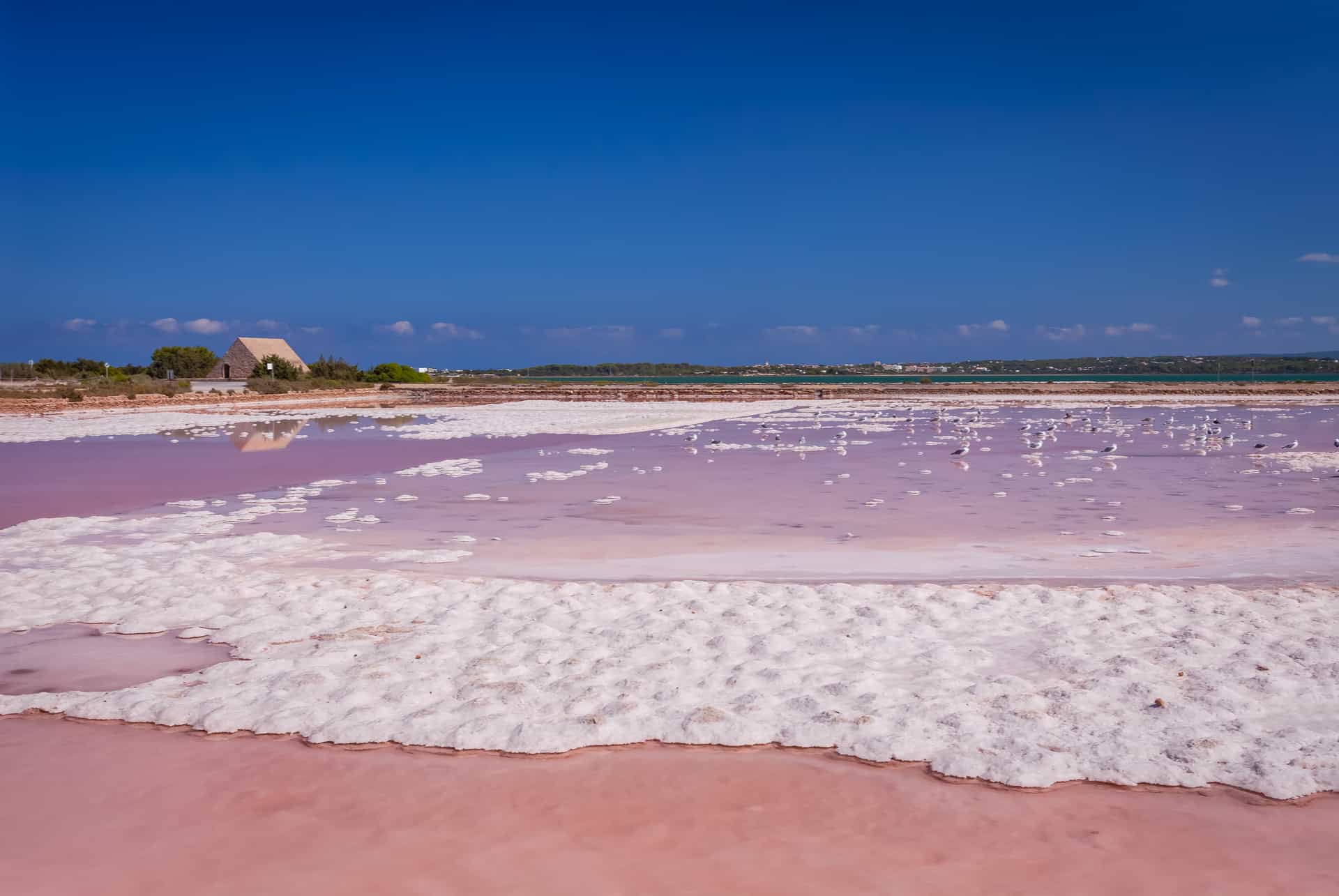 que faire formentera salines