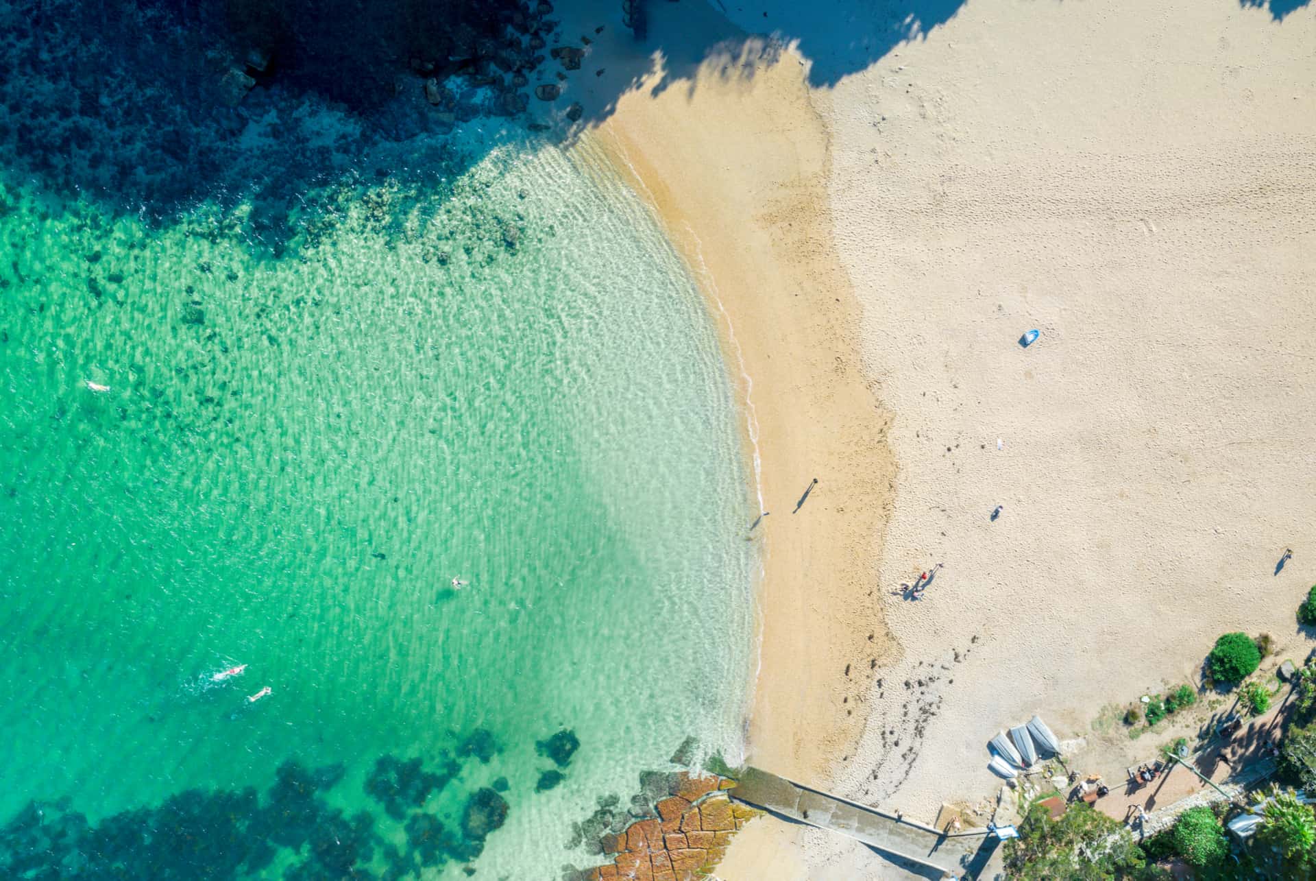 shelly beach sydney
