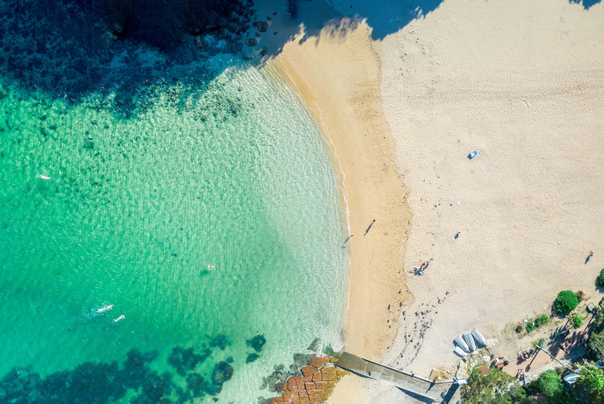 shelly beach sydney