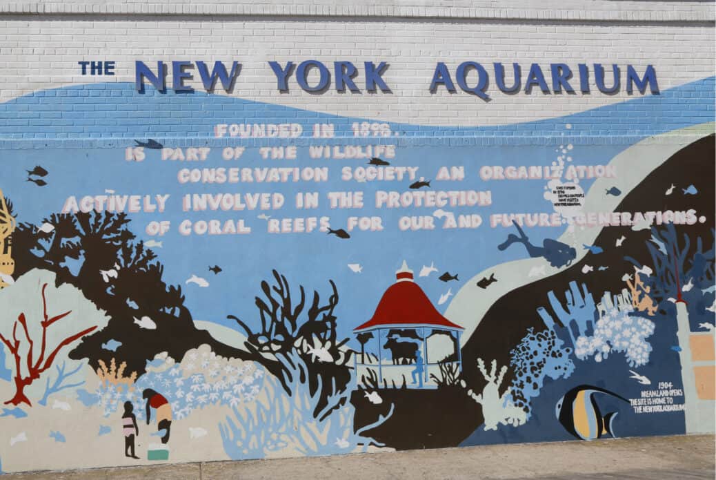 aquarium de new york