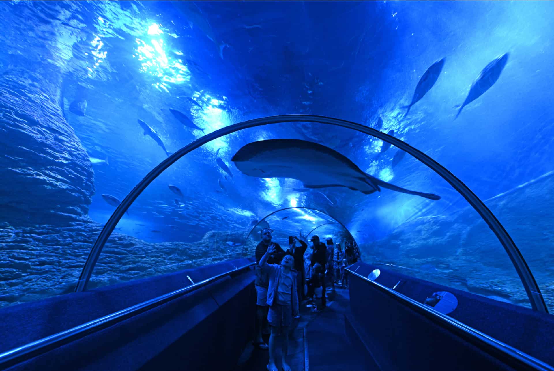aquarium de perth