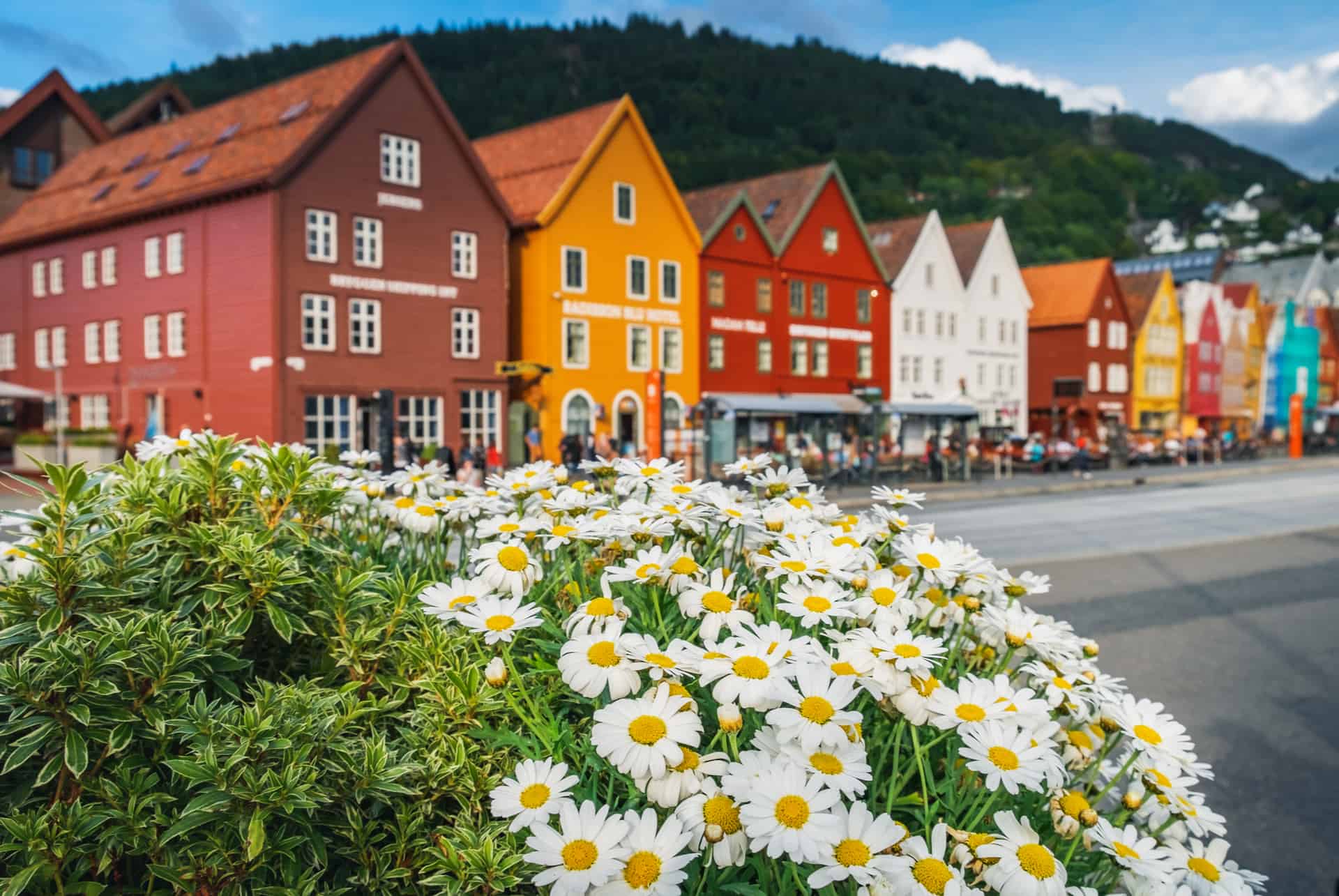 bryggen bergen