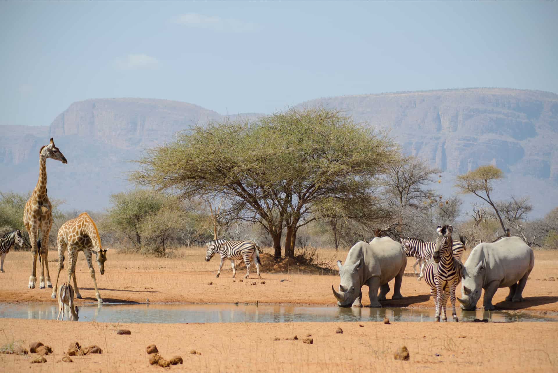 decouvrir l afrique du sud