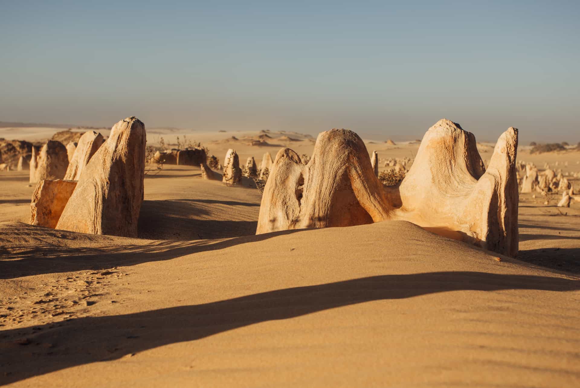 desert des pinnacles