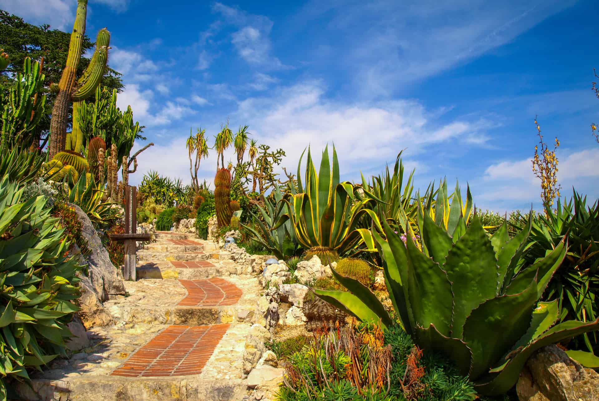 jardin exotique eze villages provence