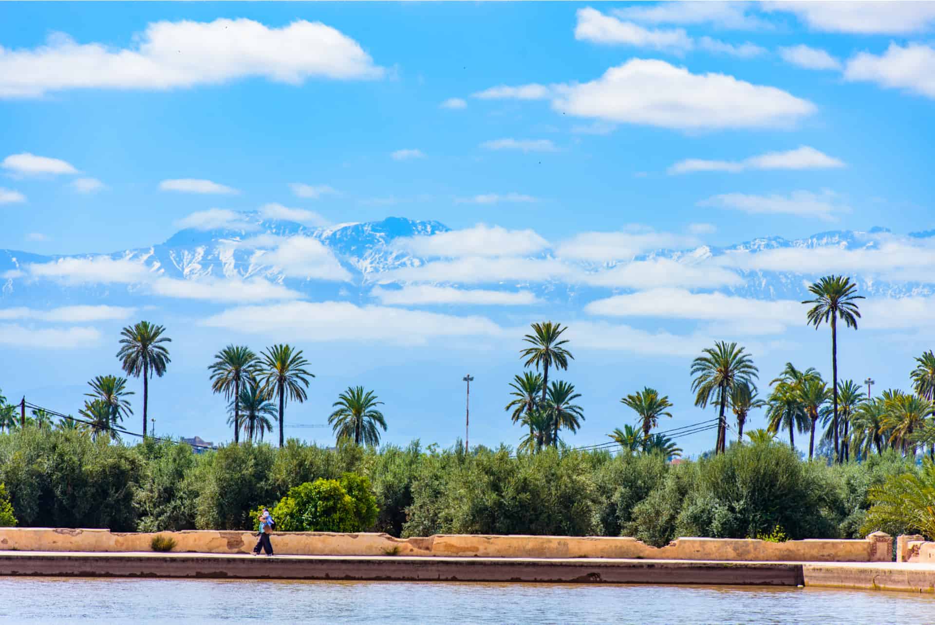 le quartier de la palmeraie a marrakech