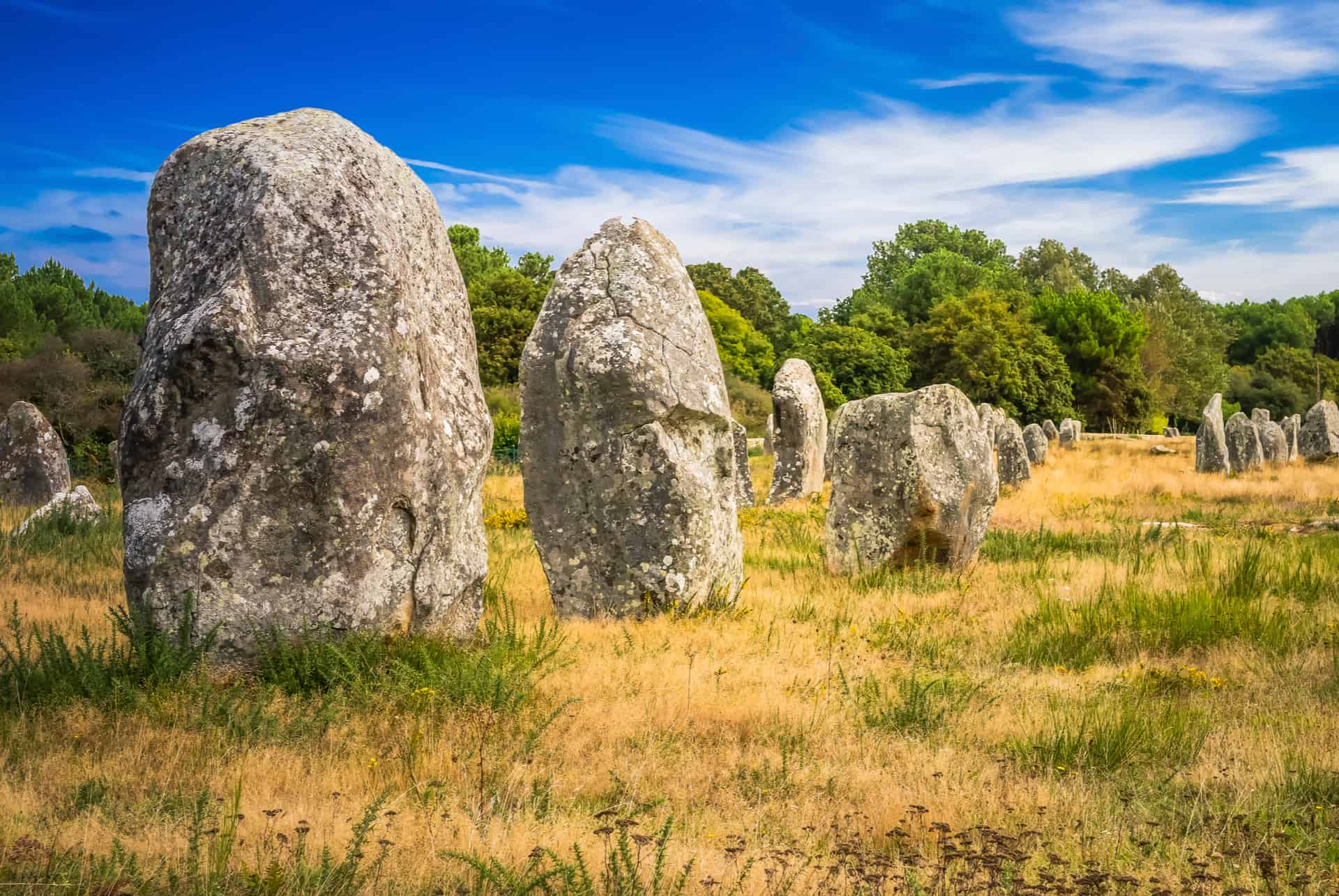 menhirs de carnac