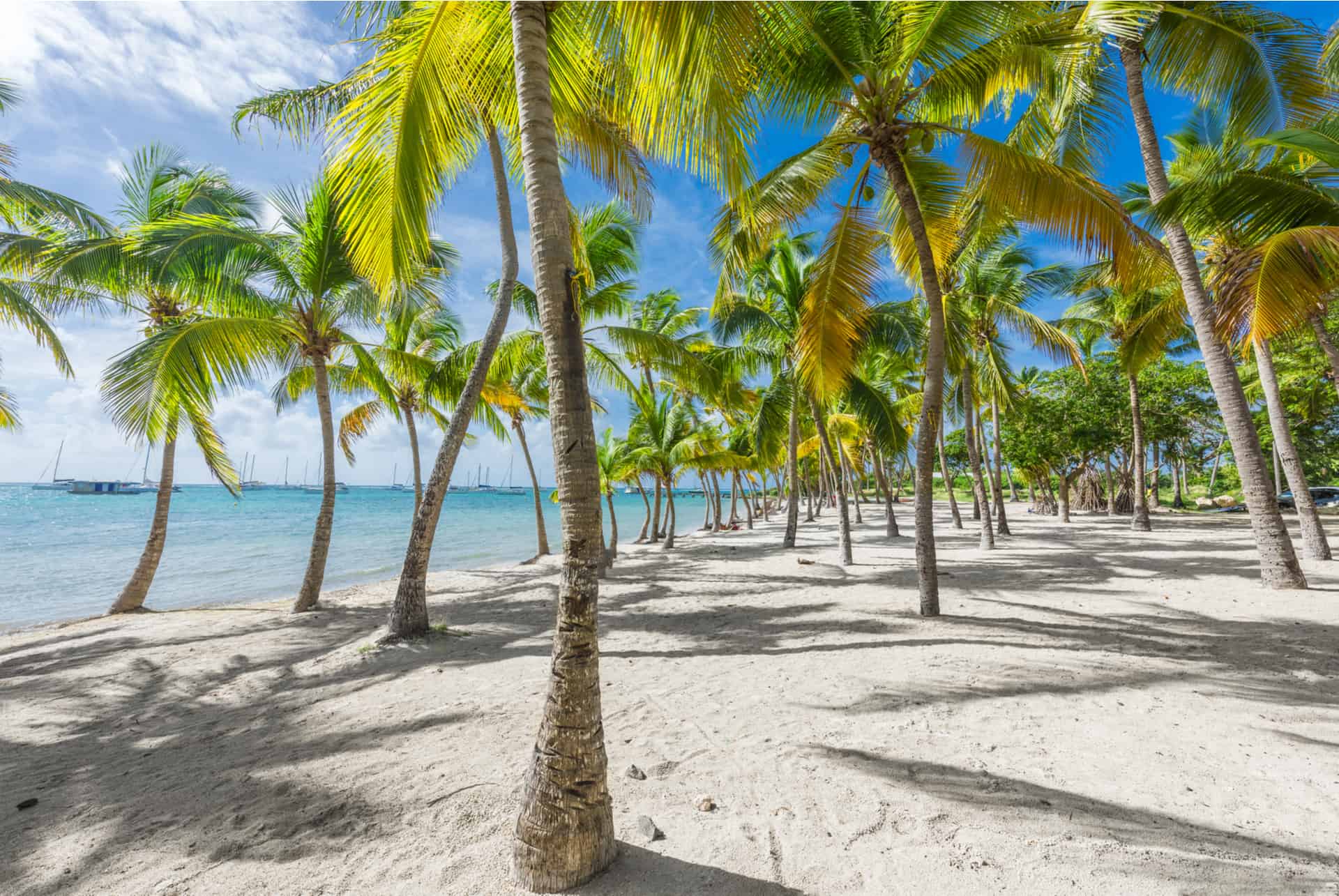 îles paradisiaques pas chères guadeloupe