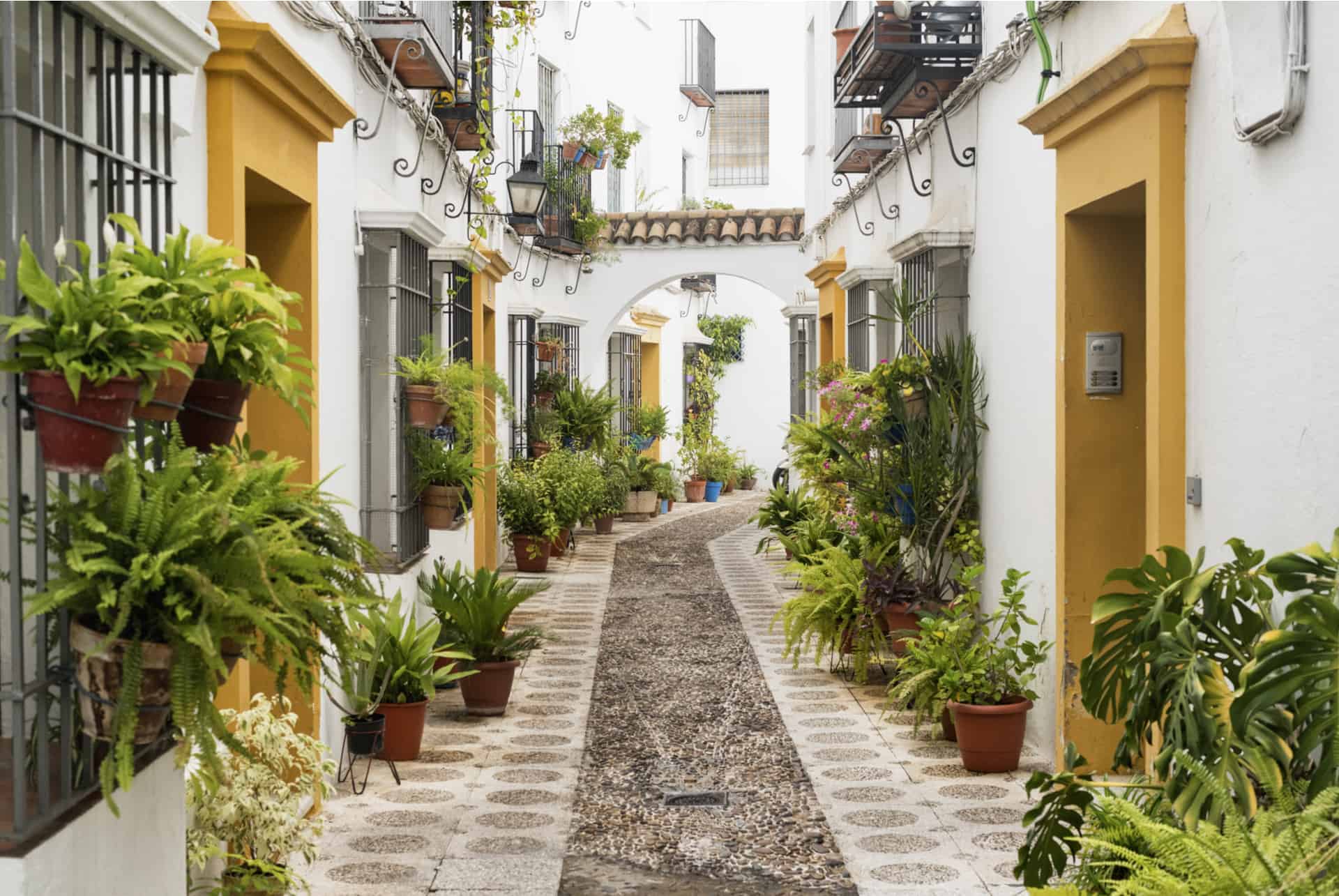 ruelles du centre historique de cordoue