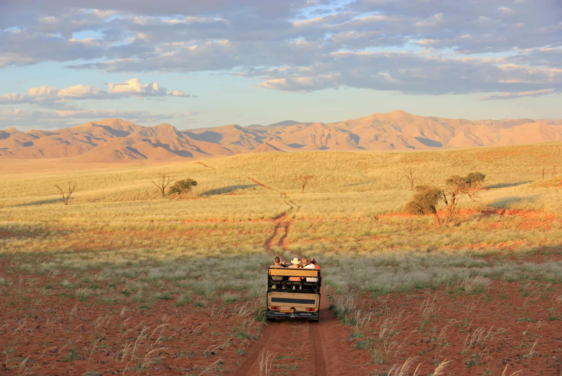 safari en afrique namibie