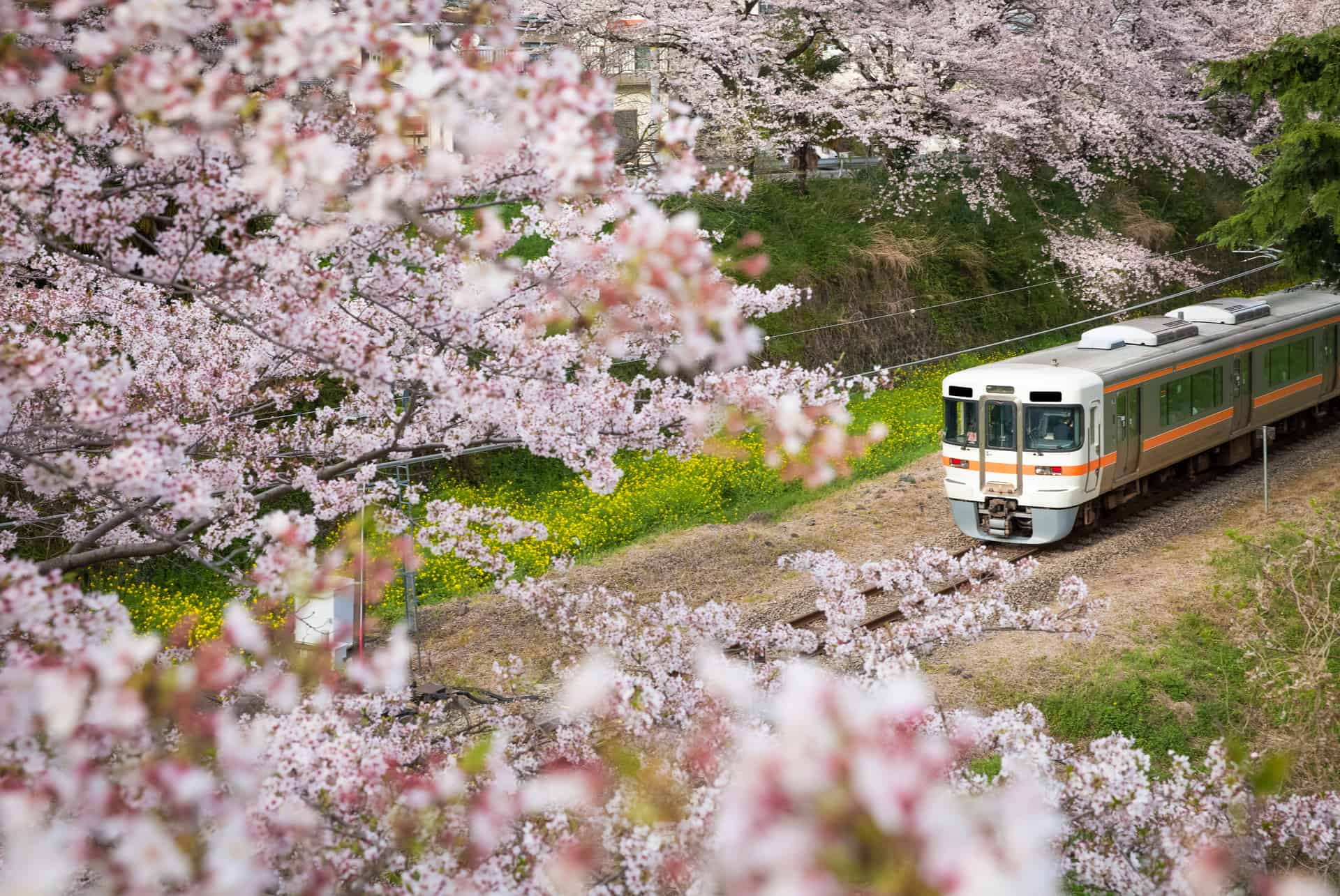 se deplacer pour itineraire de deux semaines au japon