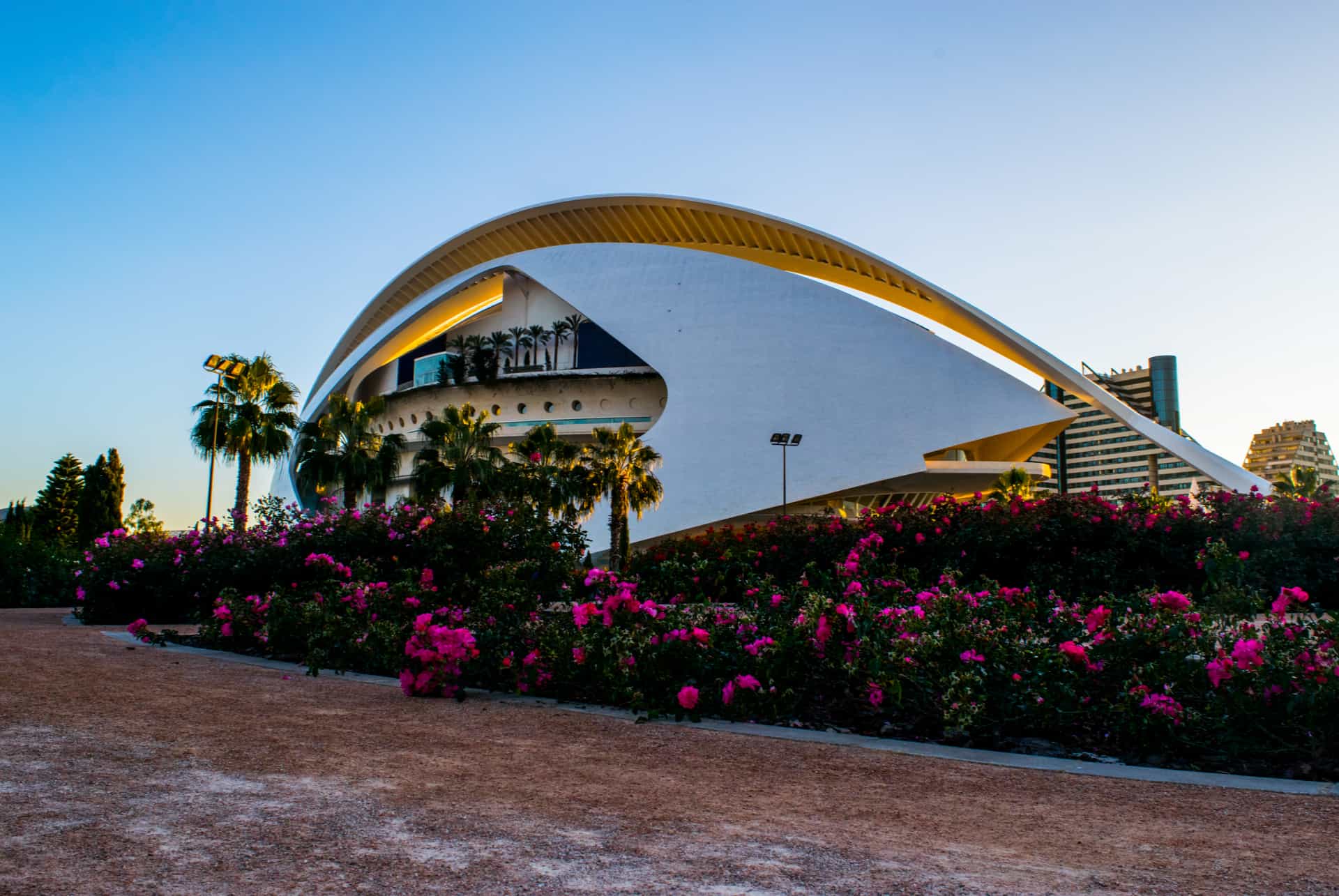 cite des arts et sciences valence