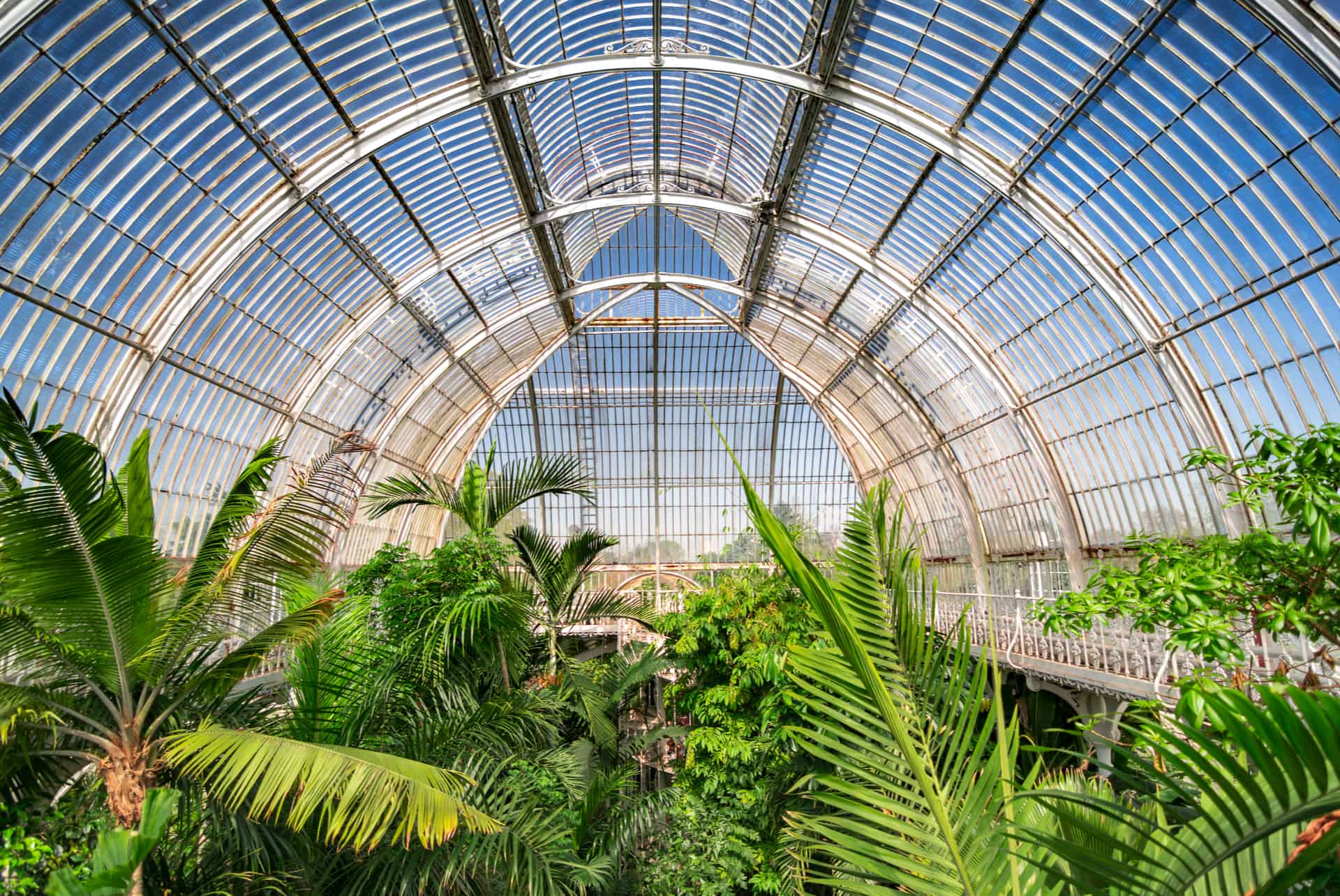 foret tropicale kew visiter londres en 4 jours