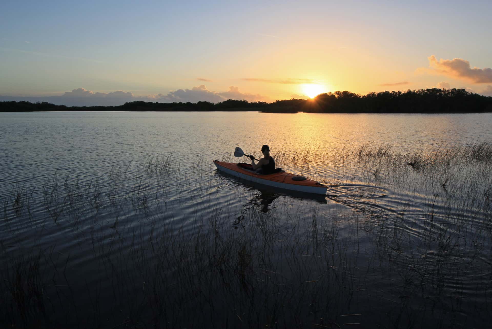 kayak