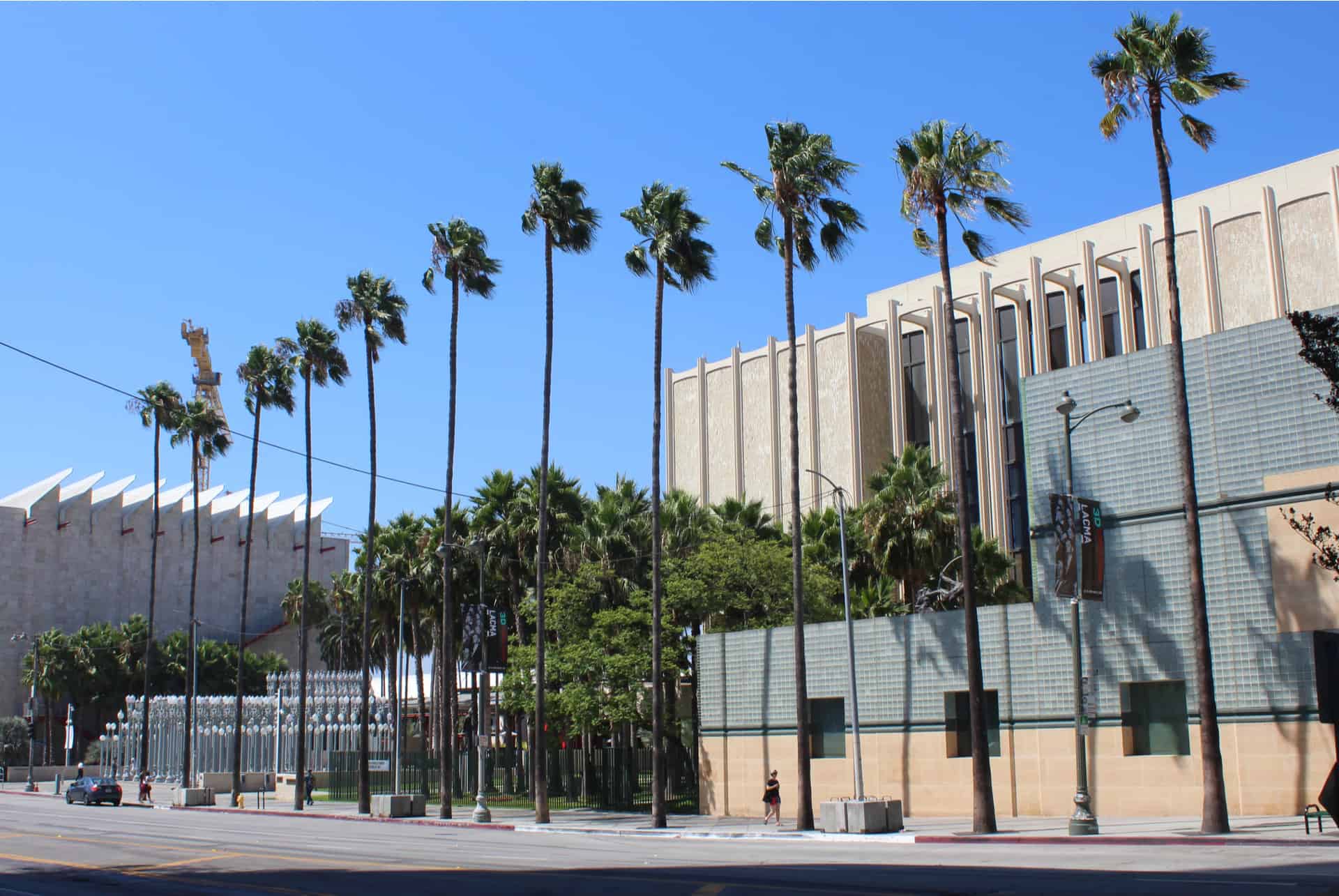 lacma que faire los angeles