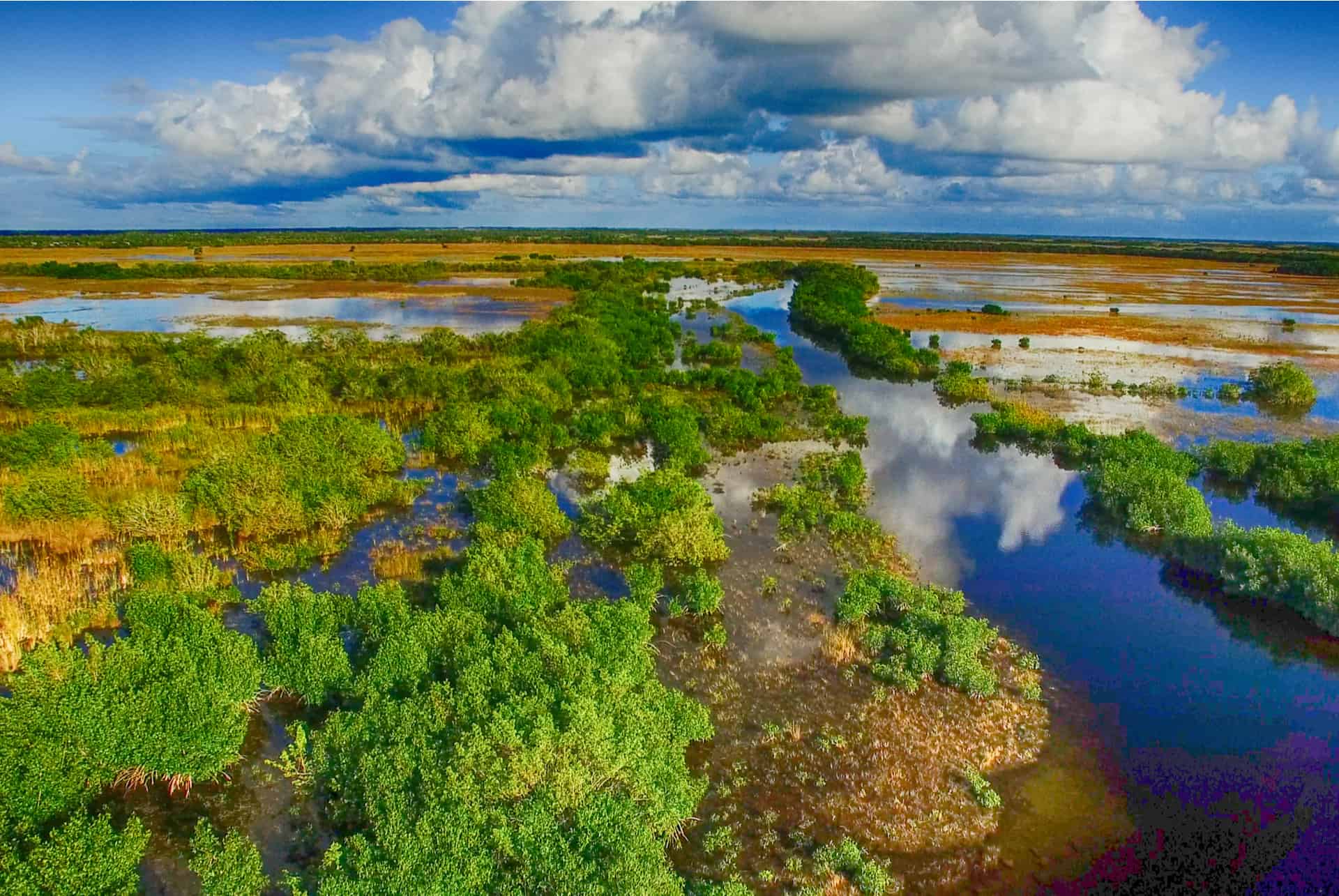 partir visiter les everglades