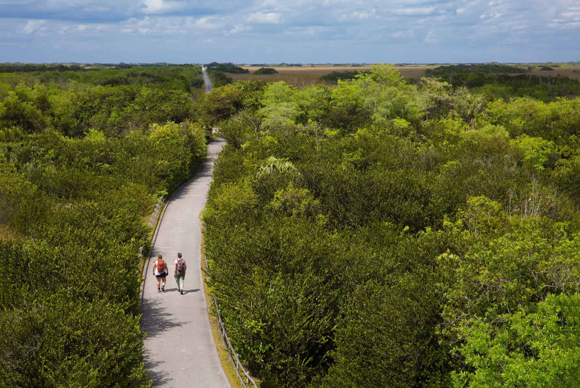 randonner dans les everglades