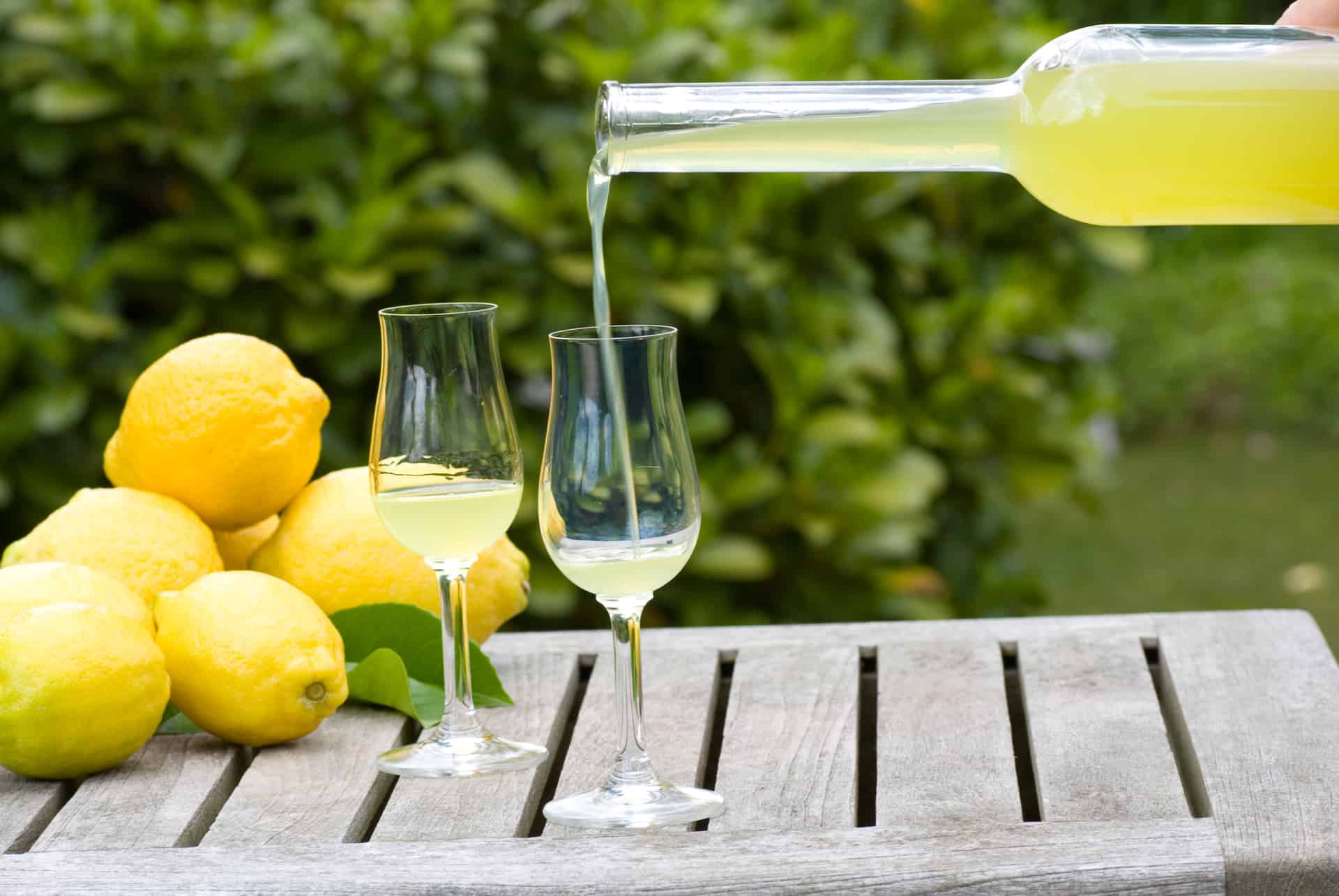 degustation limoncello