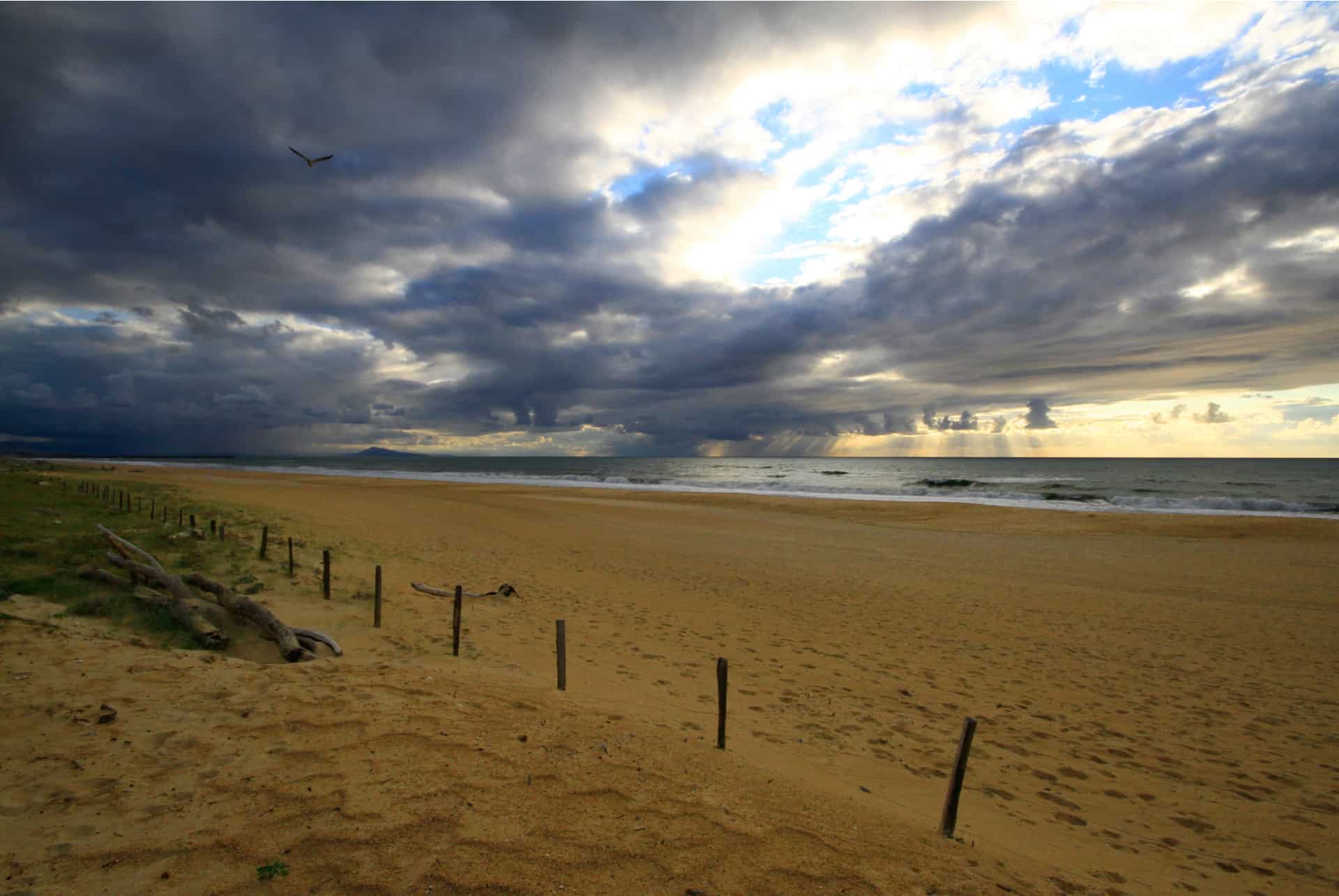 plage tarnos