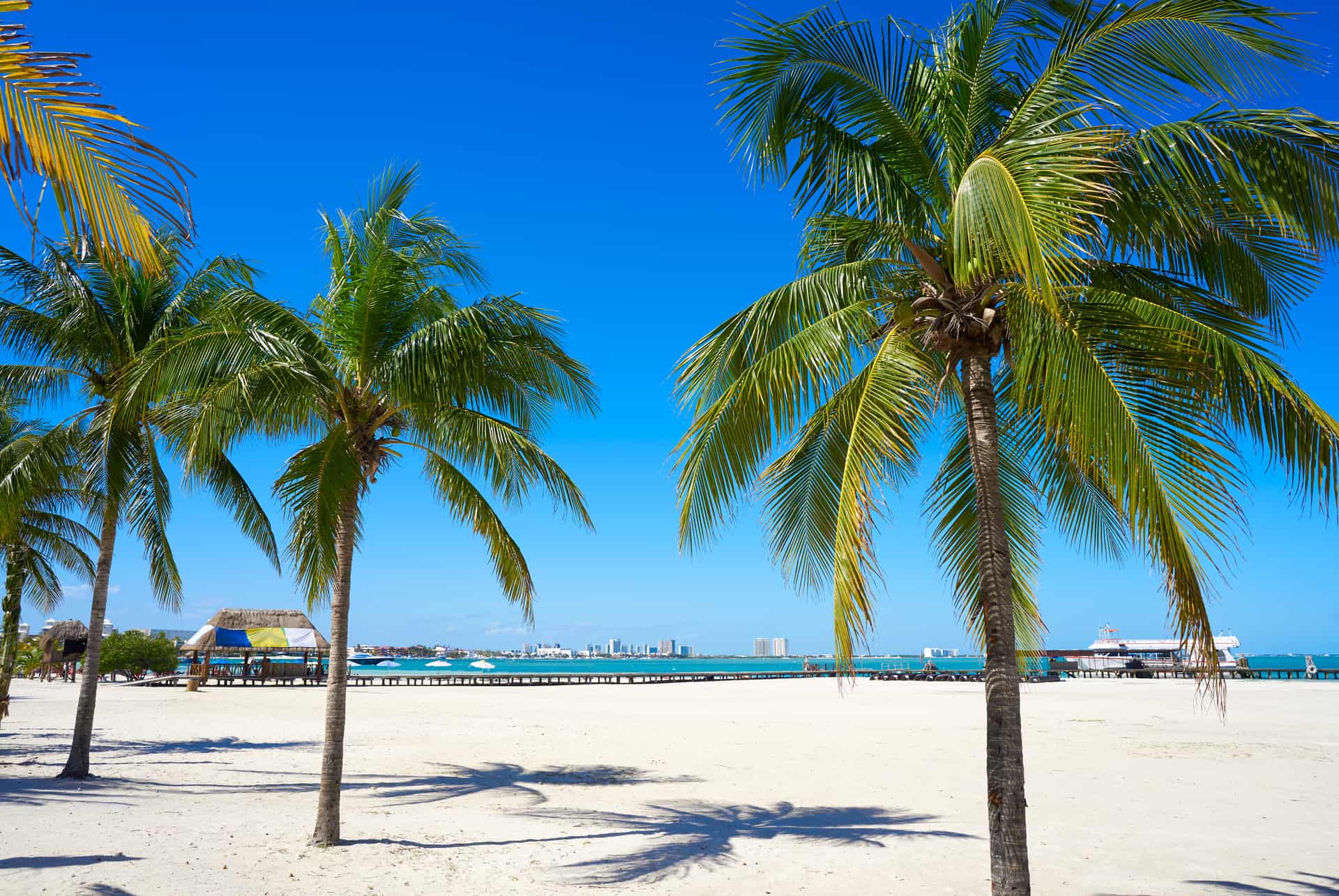 playa langosta