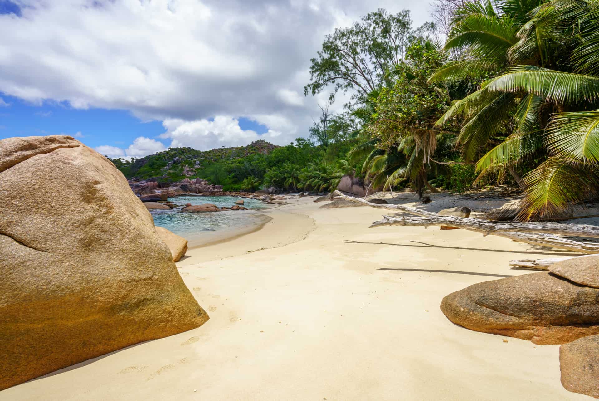 que faire aux seychelles ile curieuse