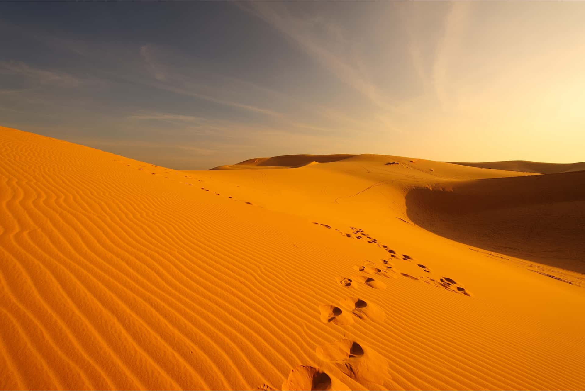 que faire dans le desert de dubai