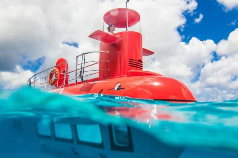 Visite en semi-sous-marin au parc de Sainte Anne