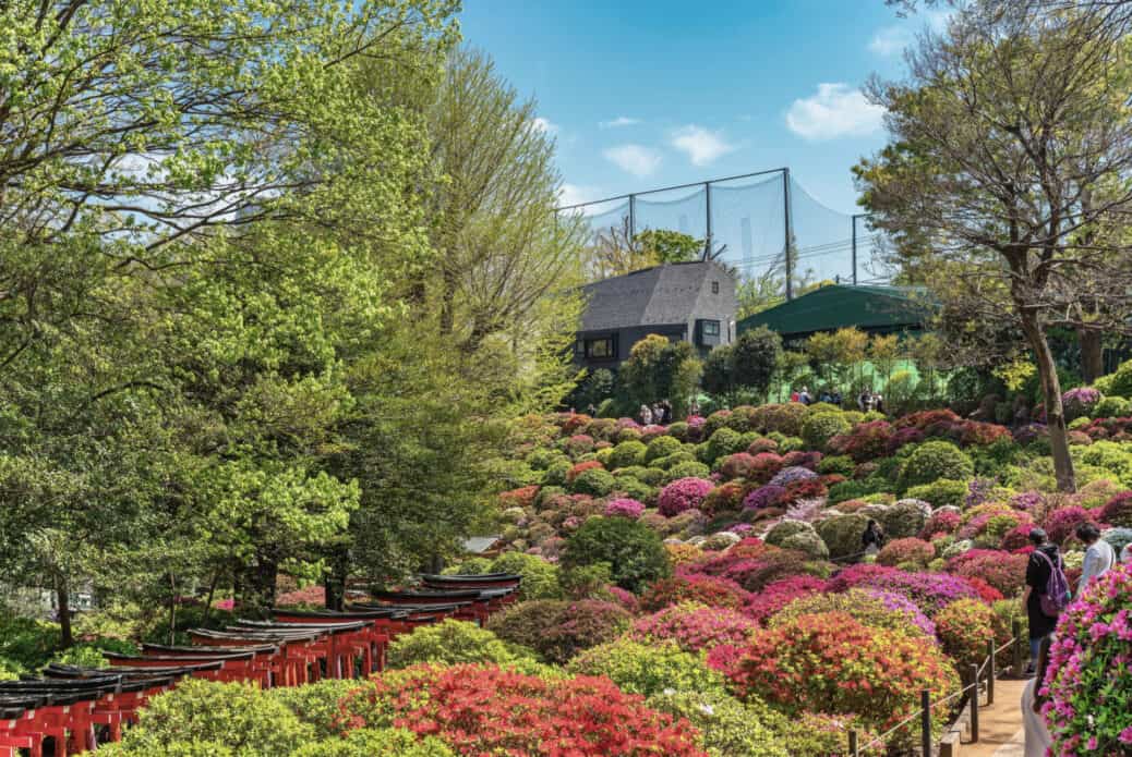 jardin nezu-jinja