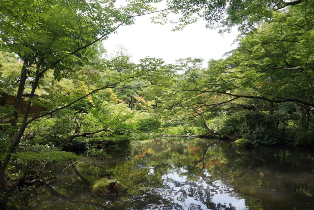 musee nezu jardin