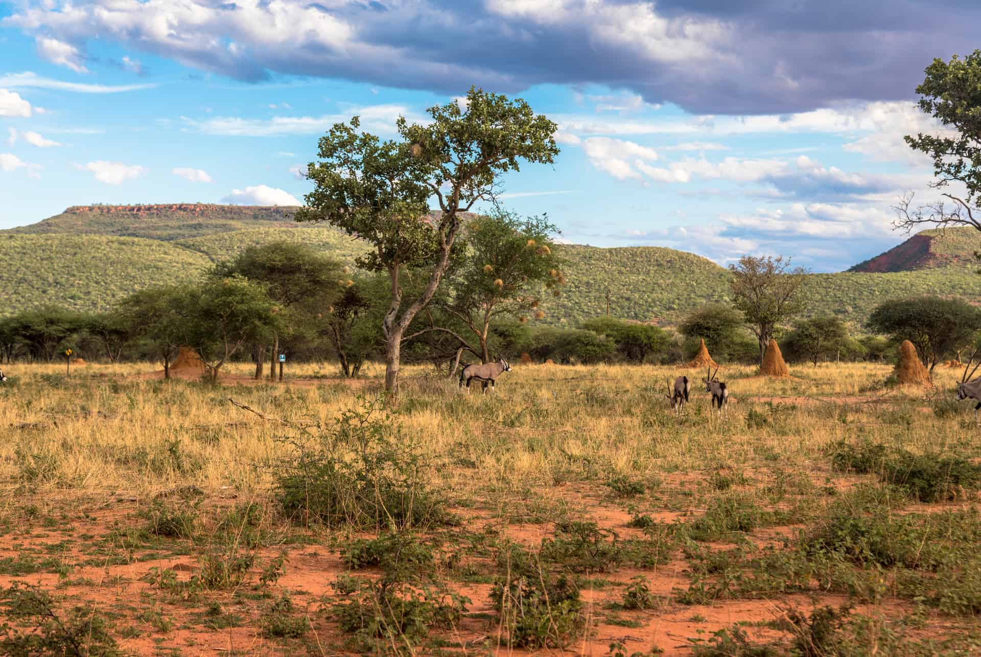 namibie réserve