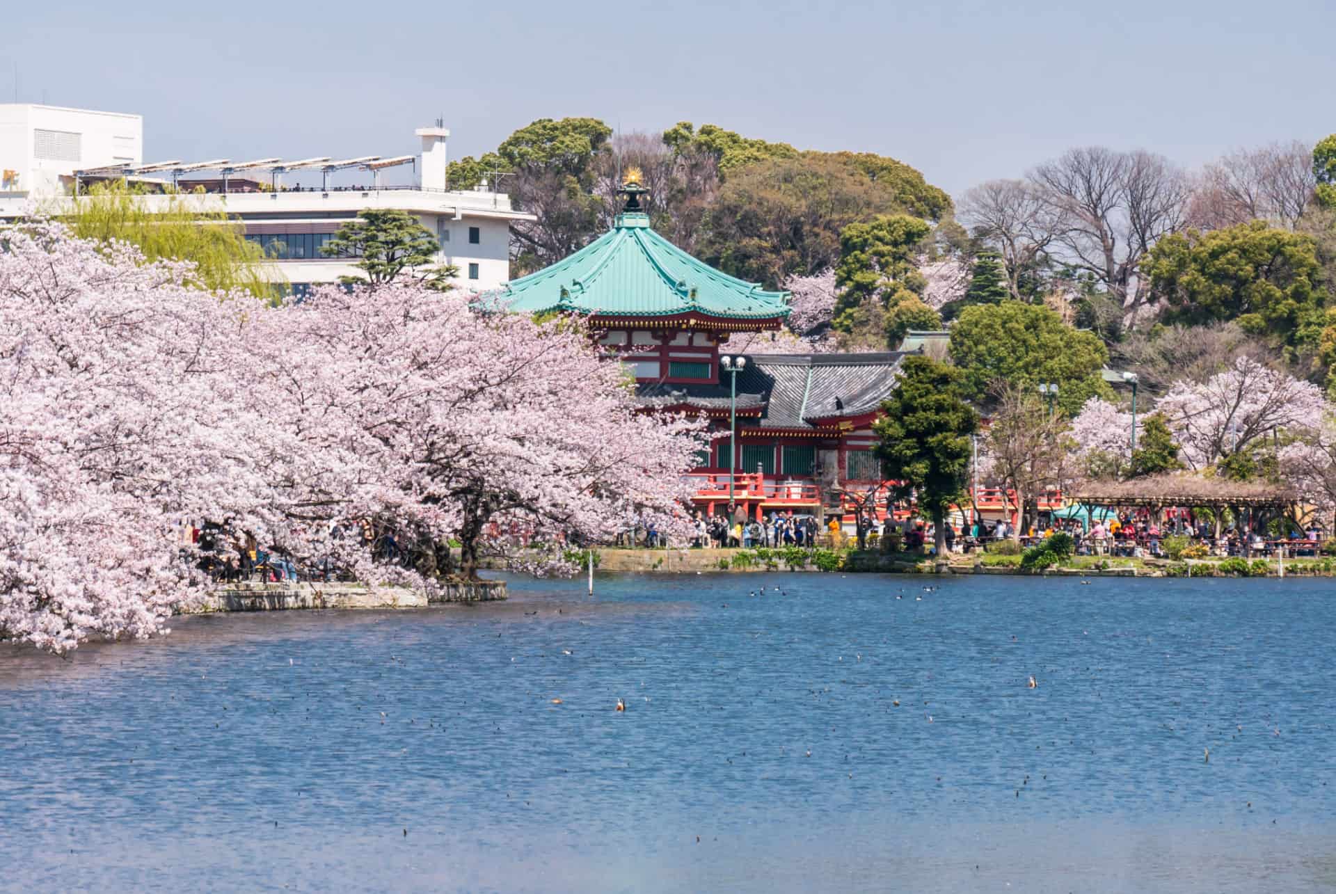 parc ueno tokyo